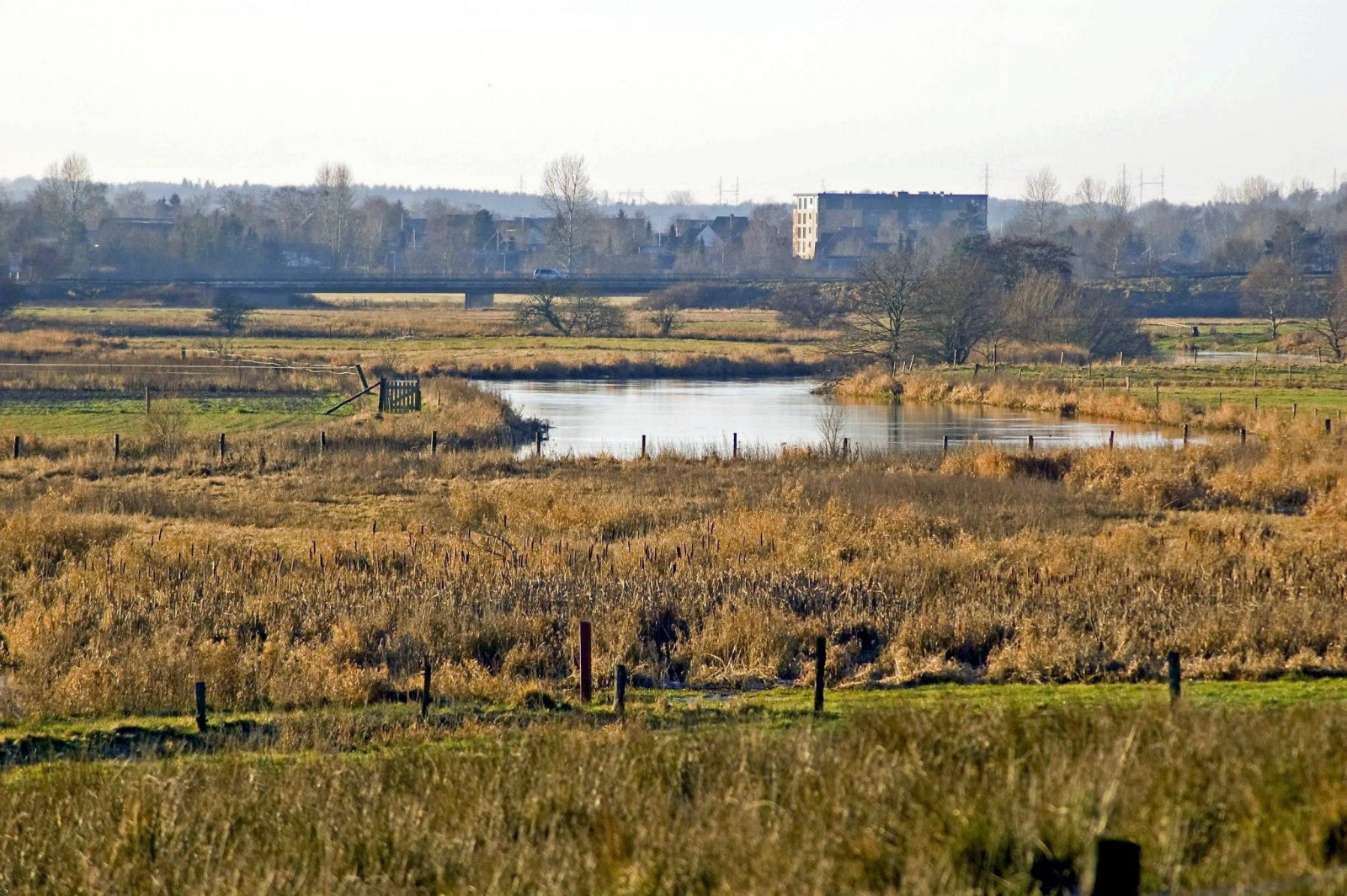 Gudenå