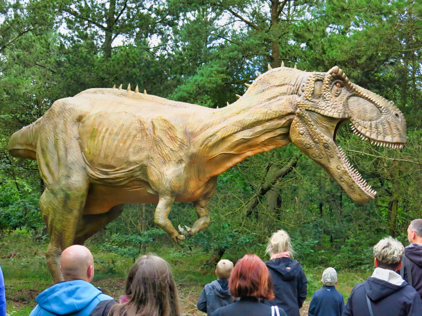 Dinosaurer