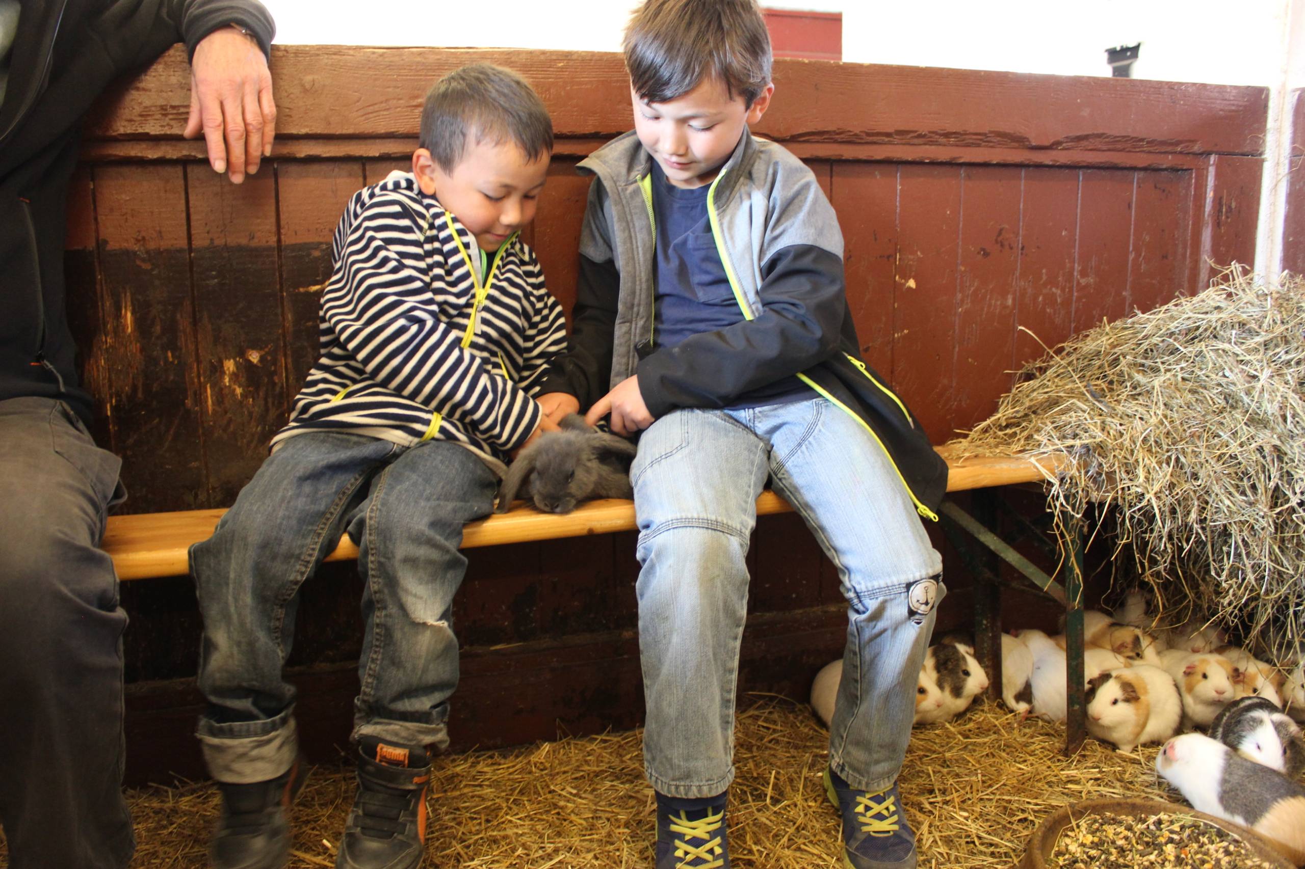 Luka og Oliver i kaninburet