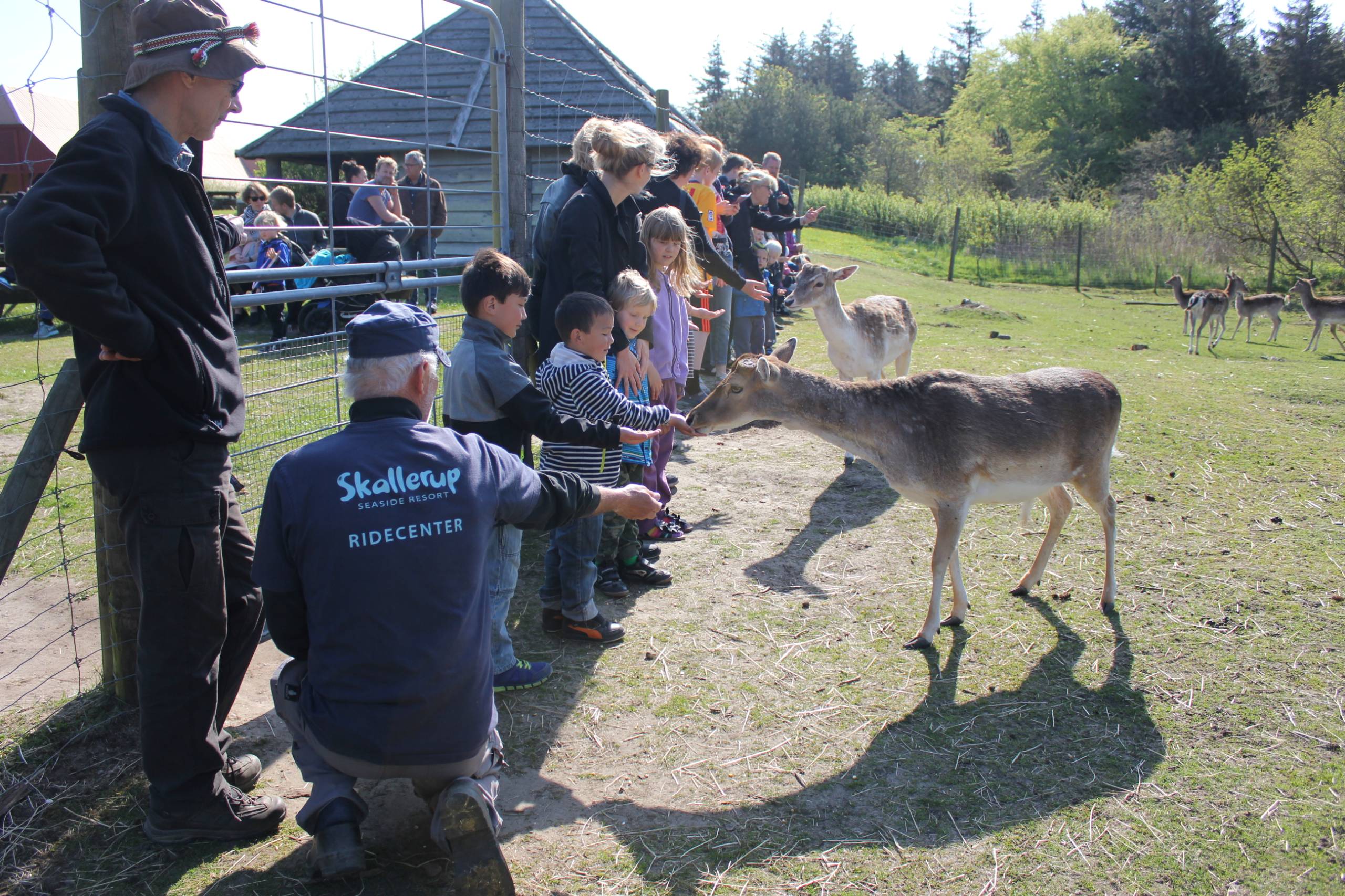 Luka og Oliver fodrer dyrene