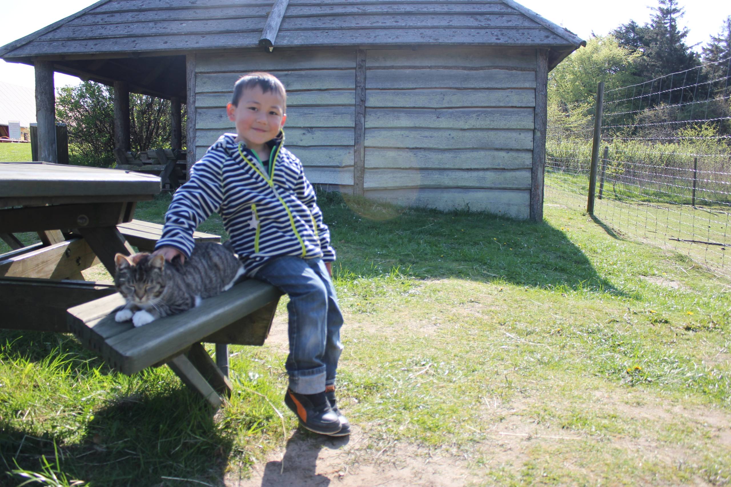 Oliver med katten ved sommerhuset
