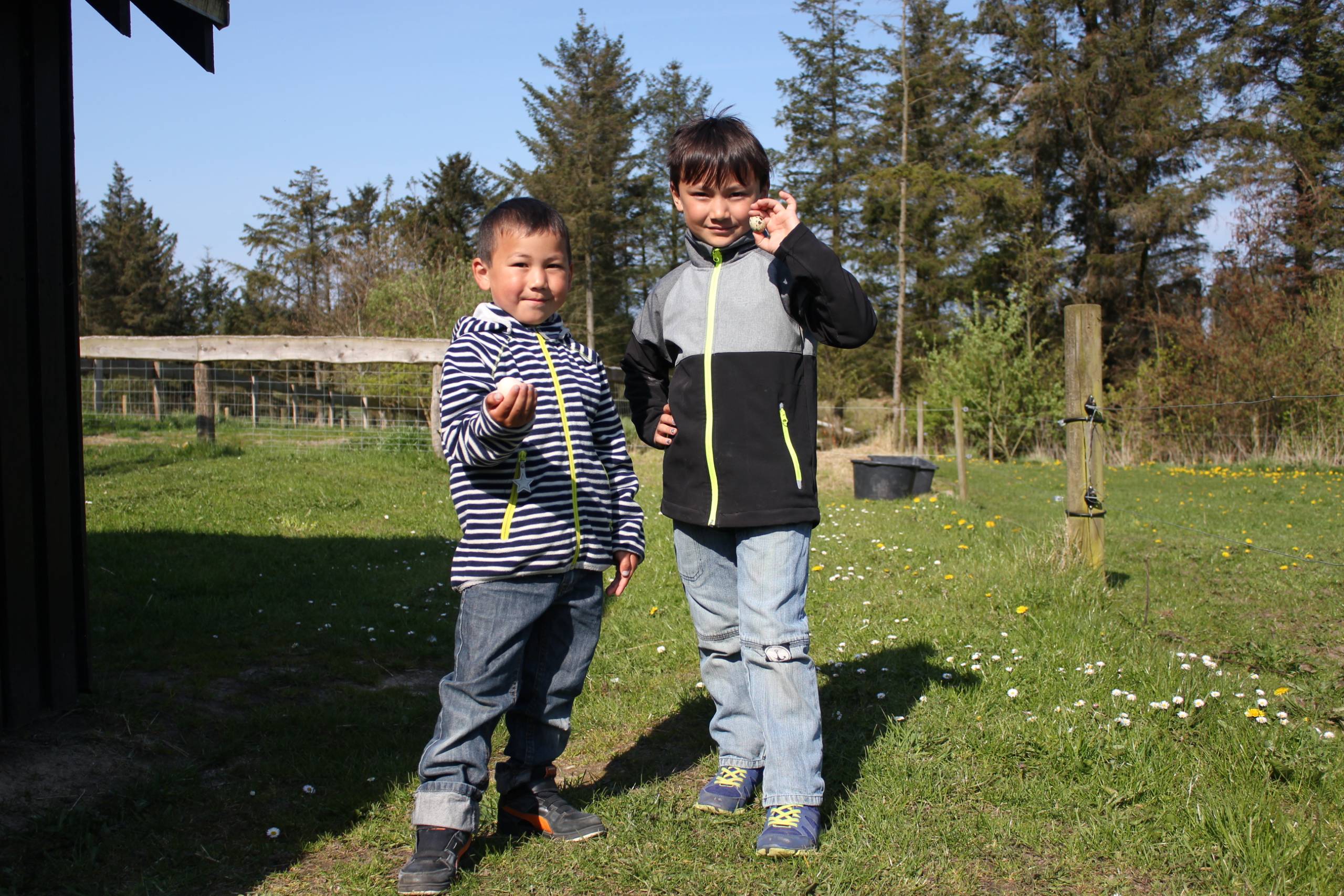 Luka og Oliver  med høneæg