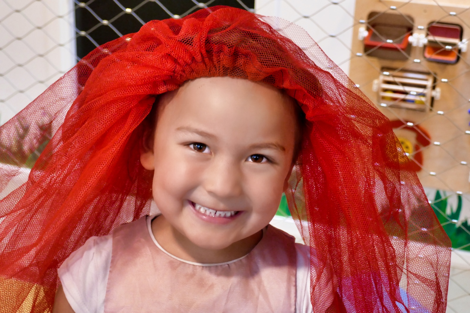 Andre begivenheder i 2017