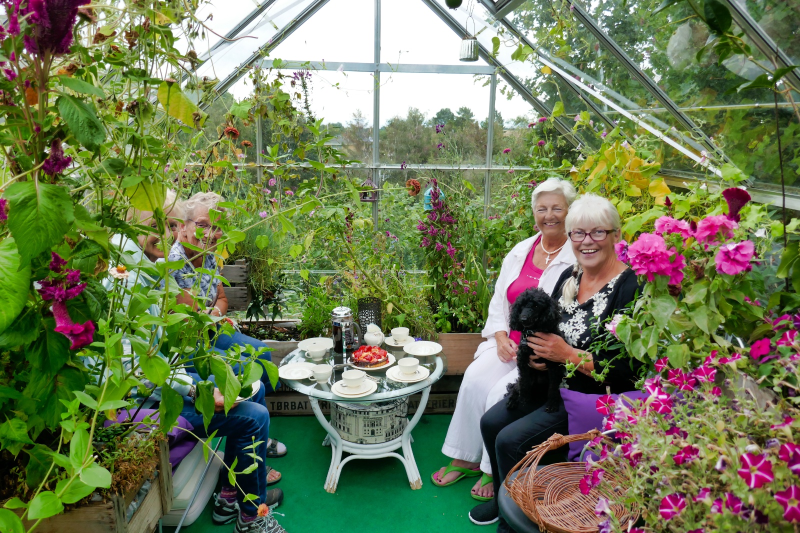 Kaffe i Ullas drivhus