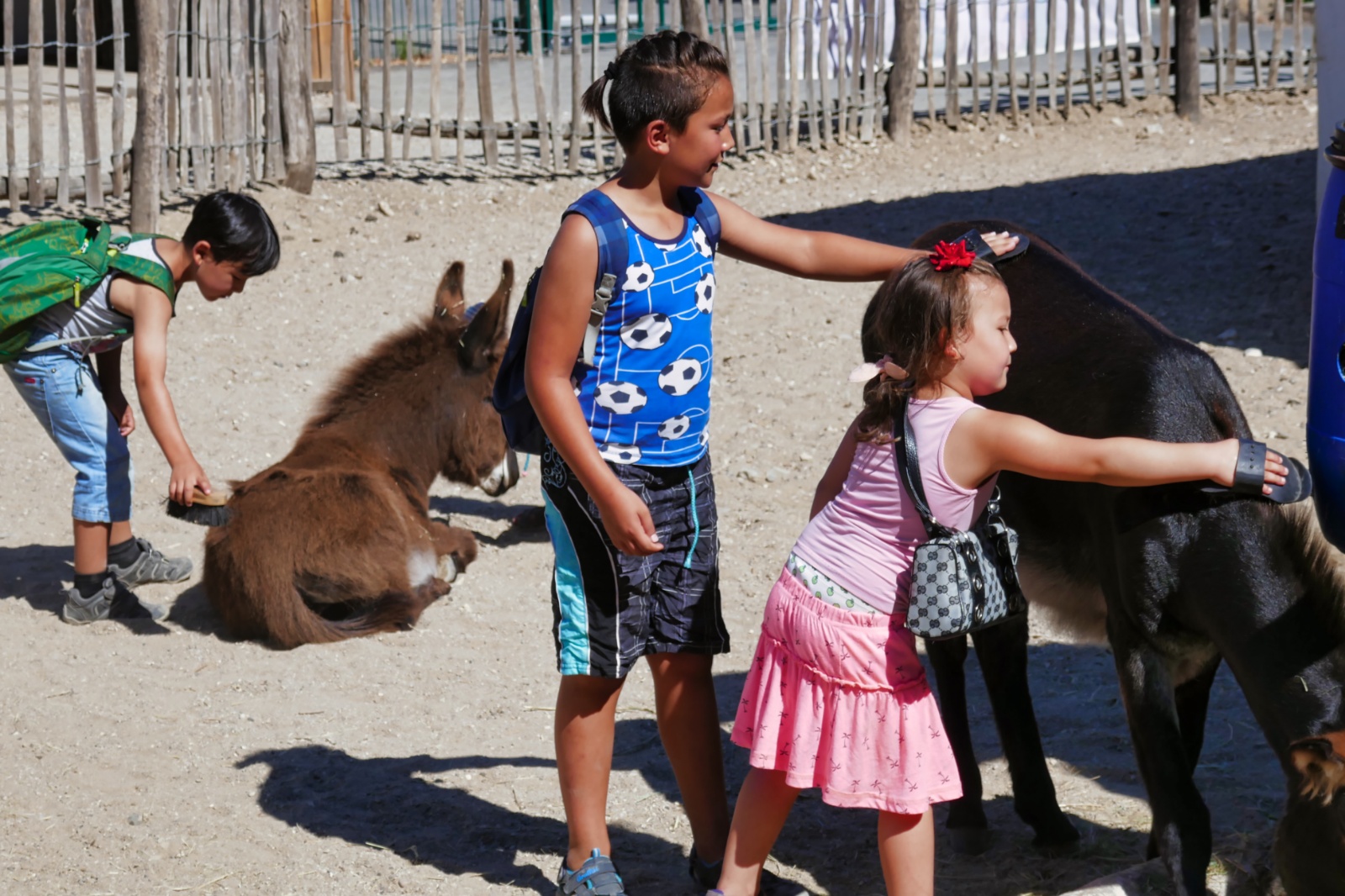 Ree Dyrepark 27. juli 2018