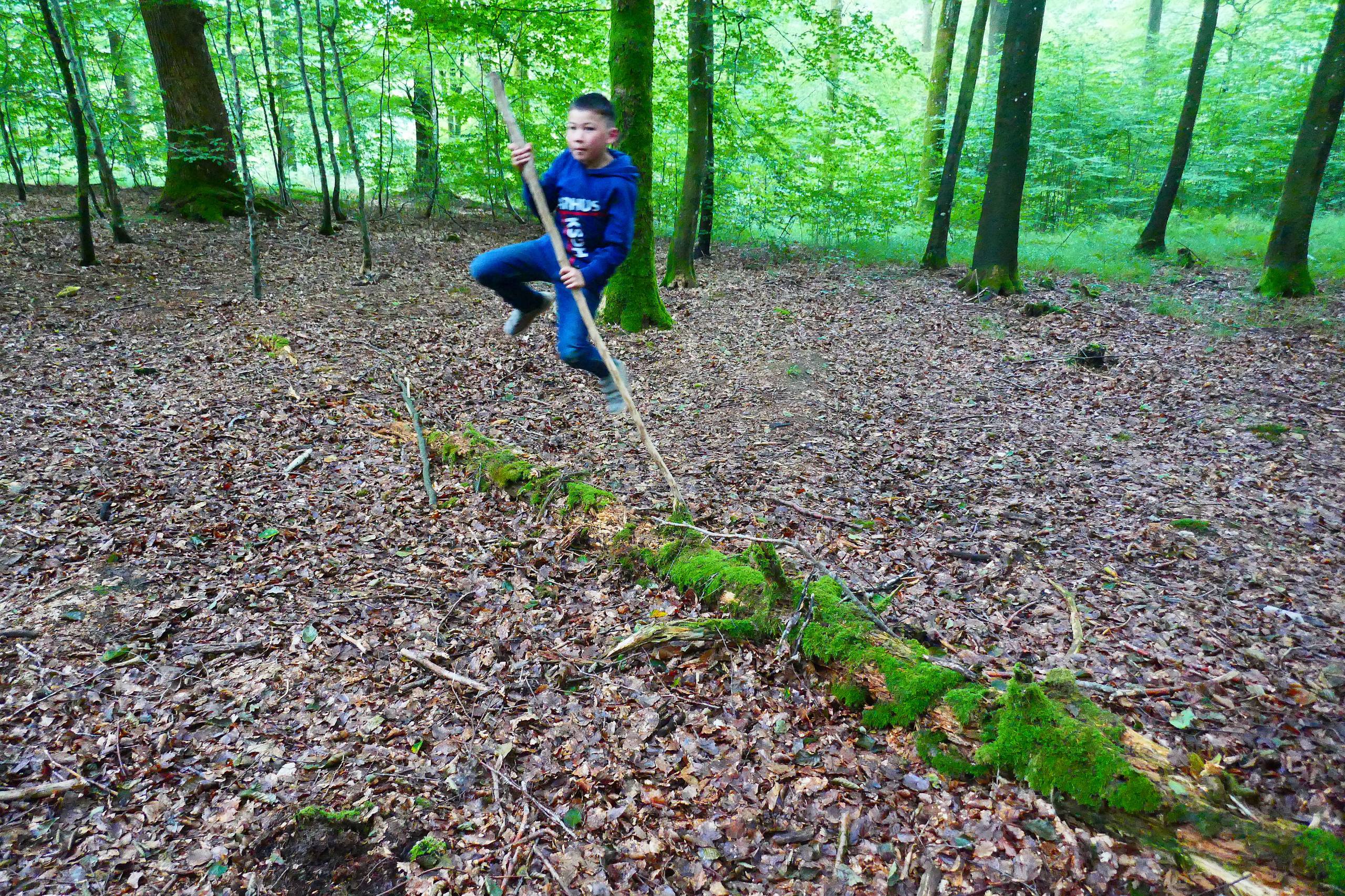 Stangspring