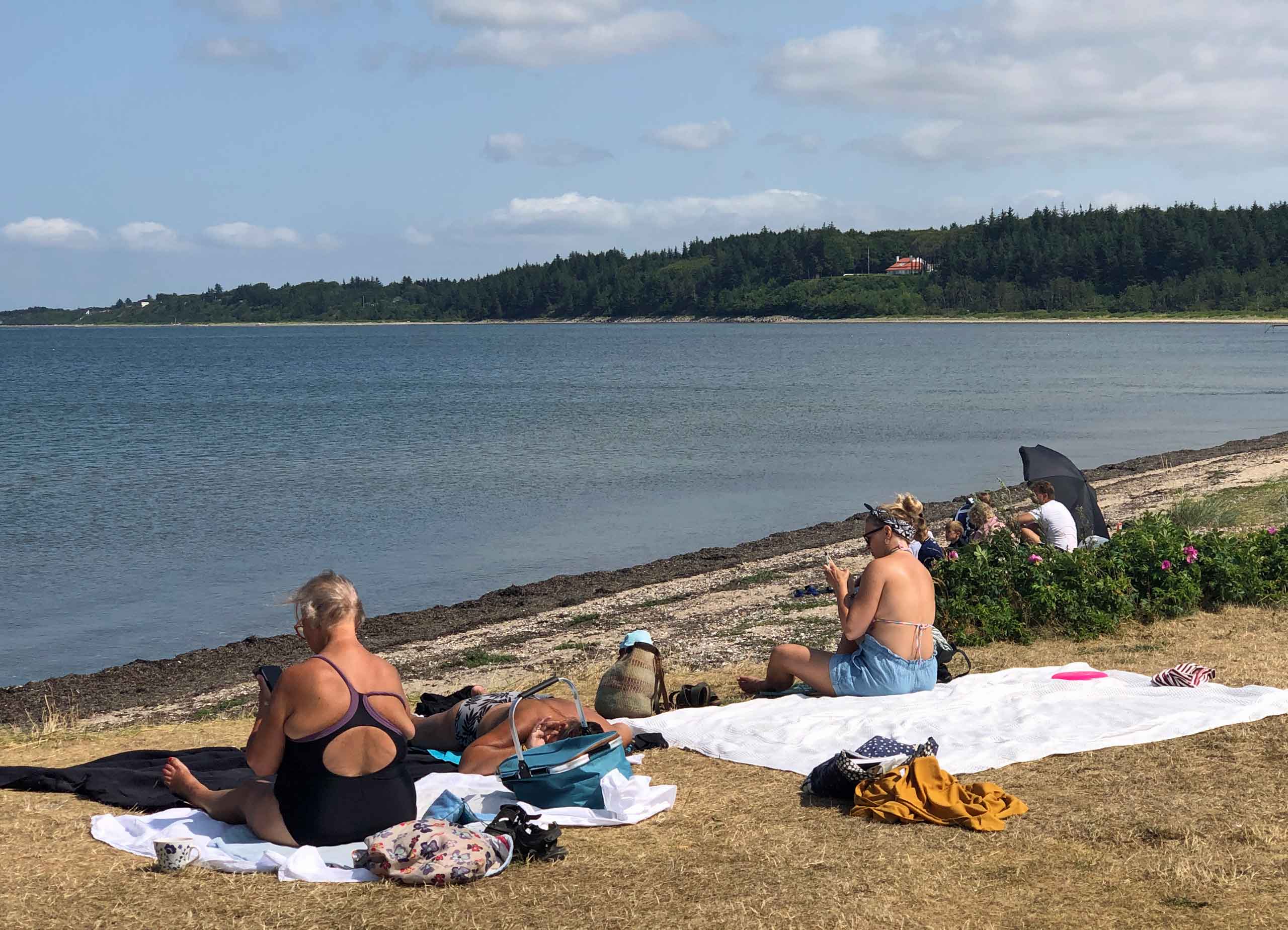 Udsigt til stranden