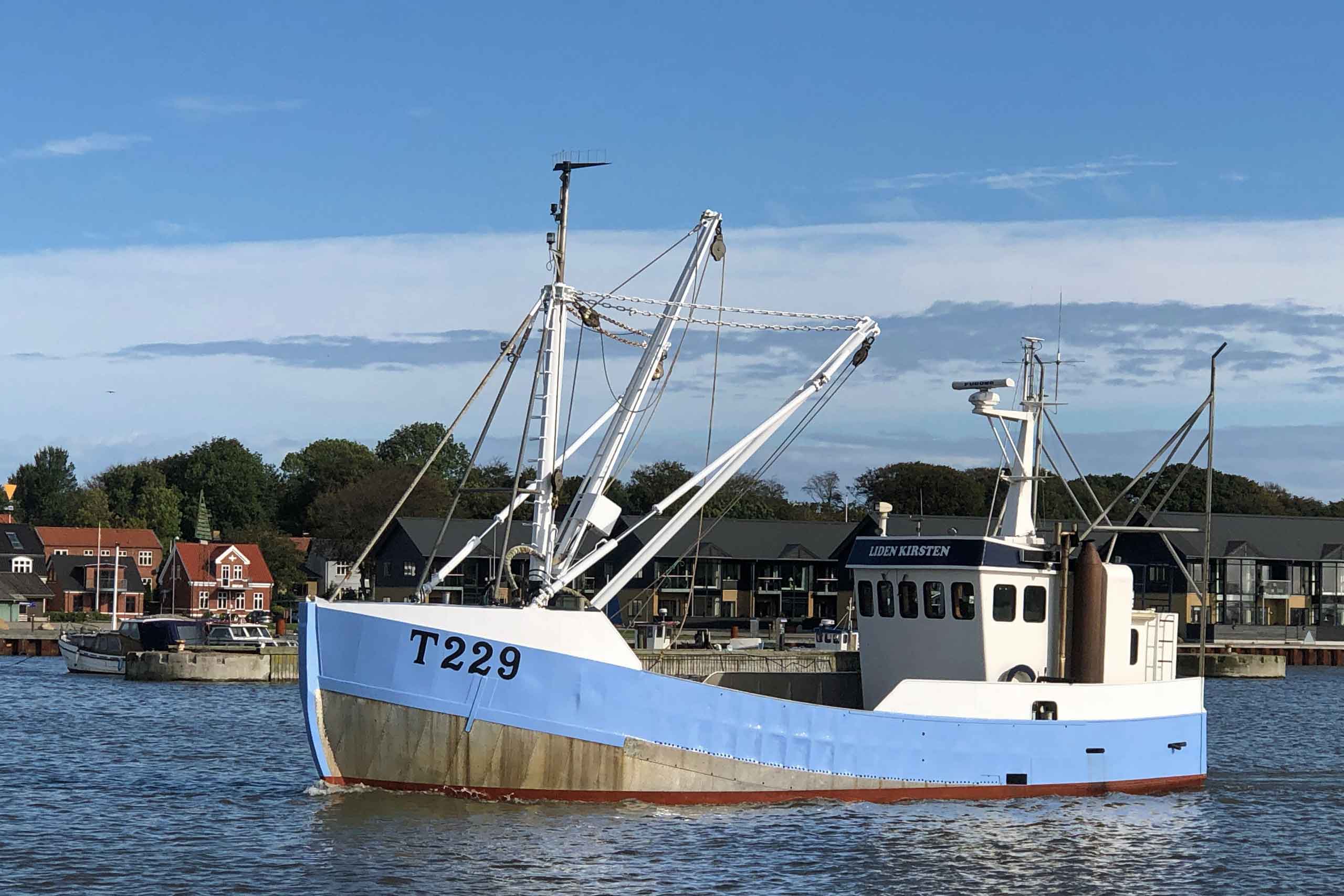 Årets første østers