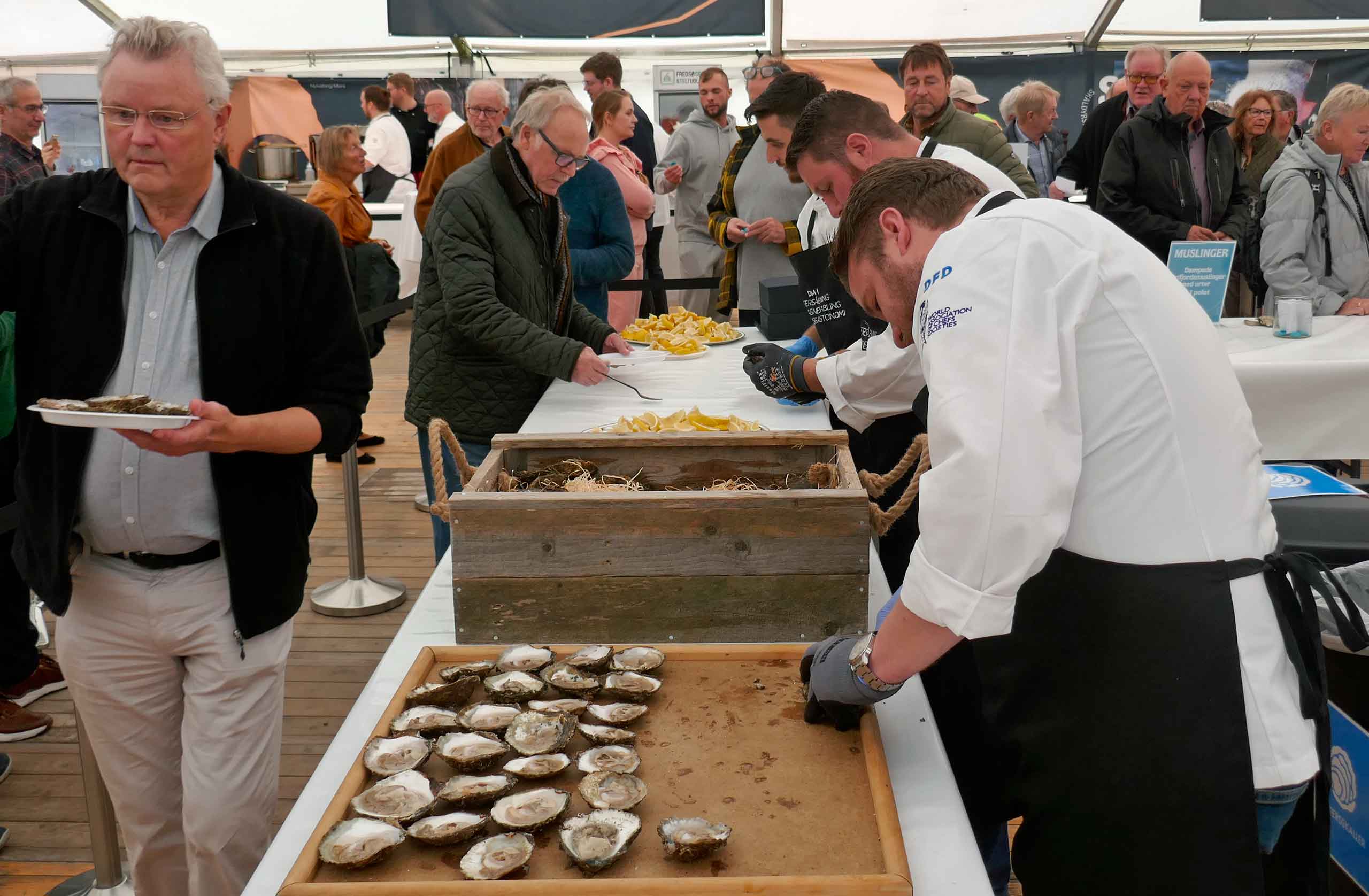 Årets første østers