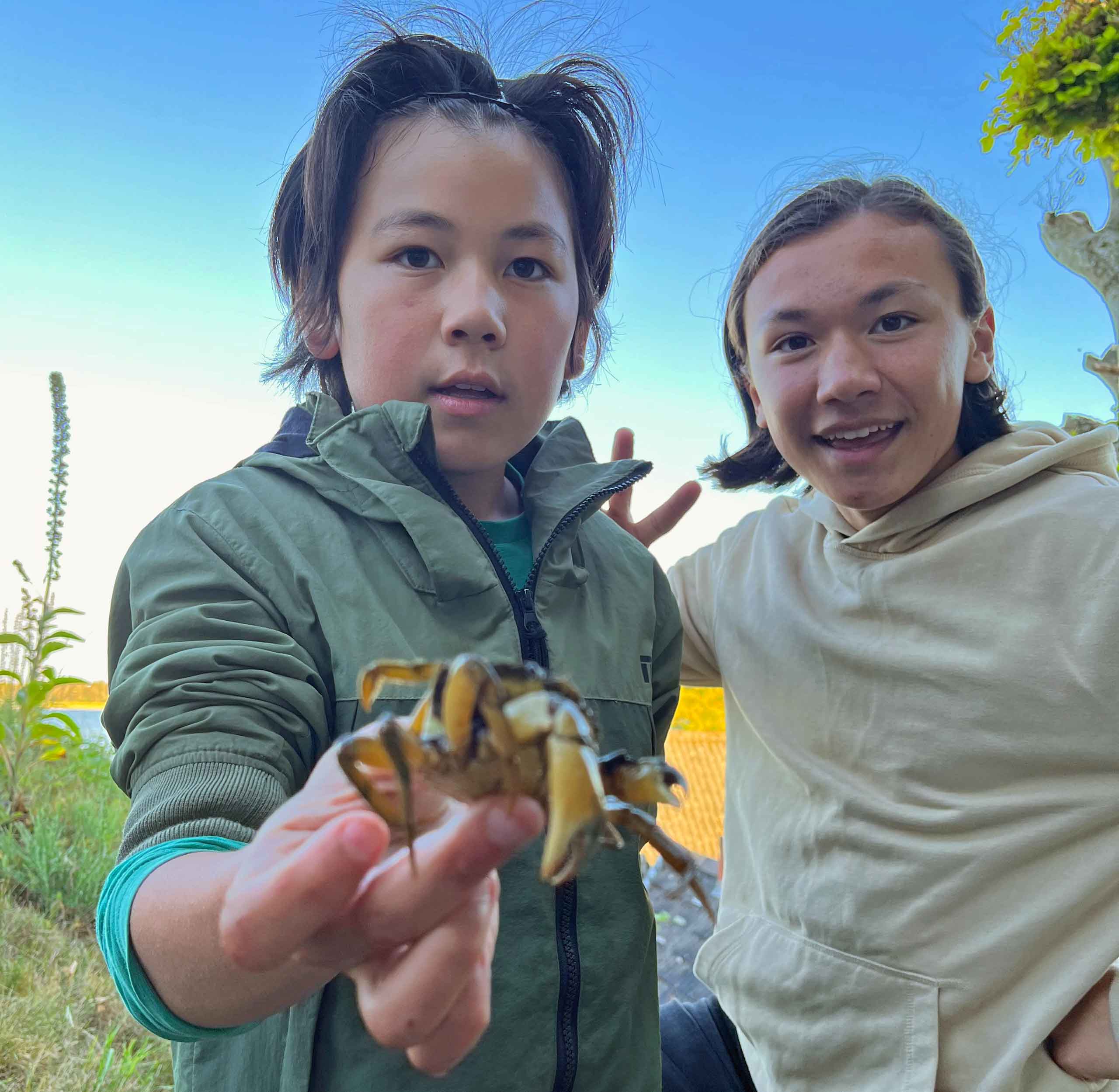 Krabber