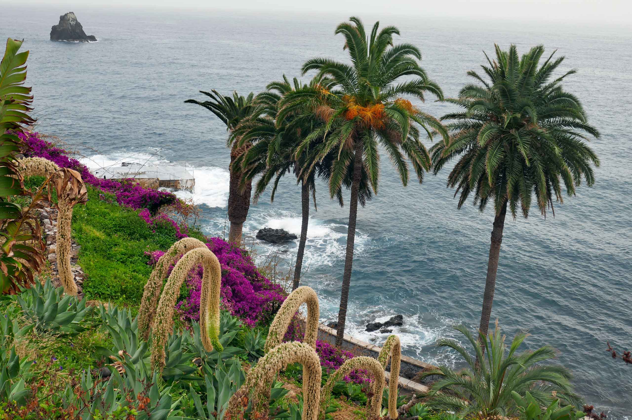 Vandretur til Camara de Lobos