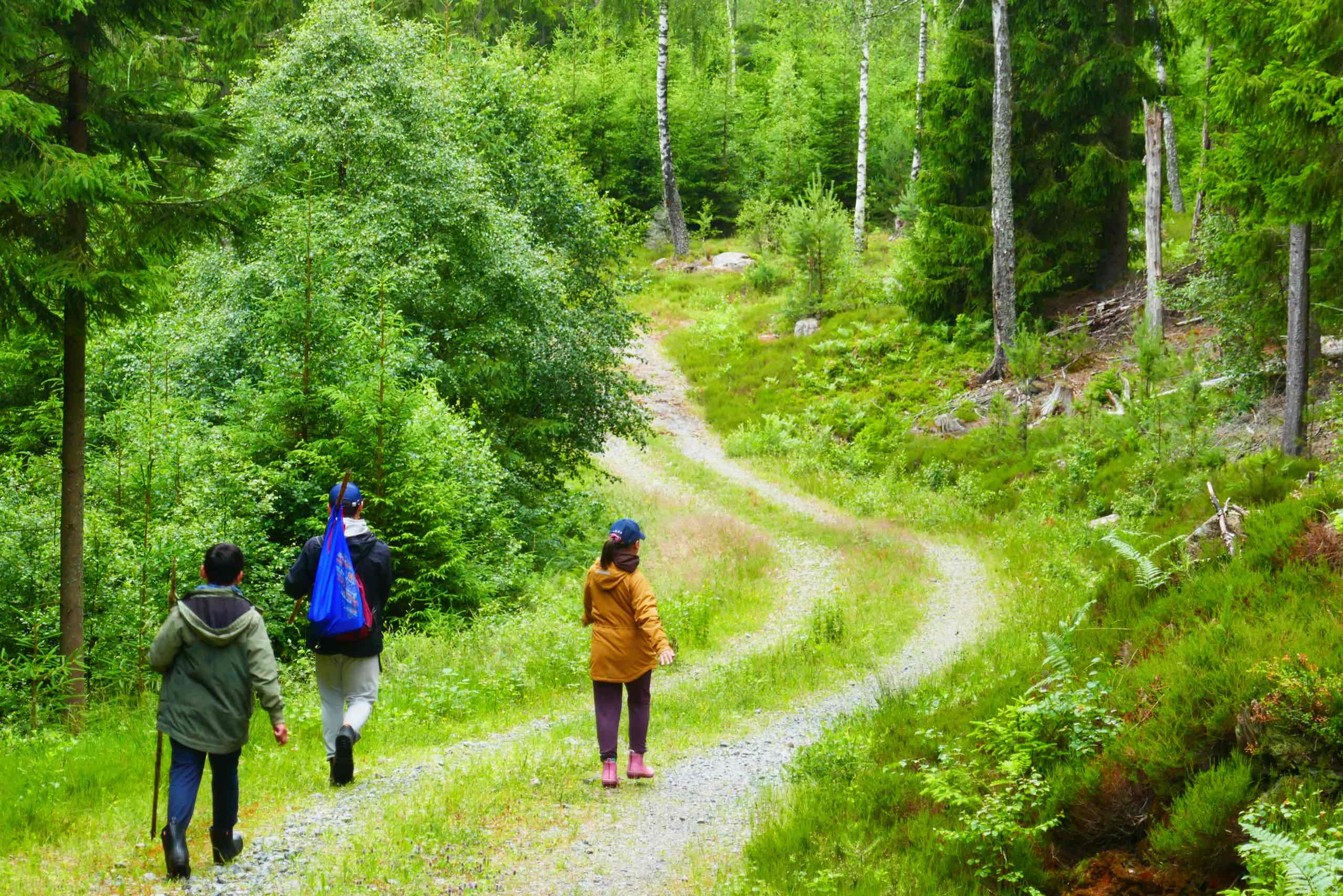 Udforskning af området