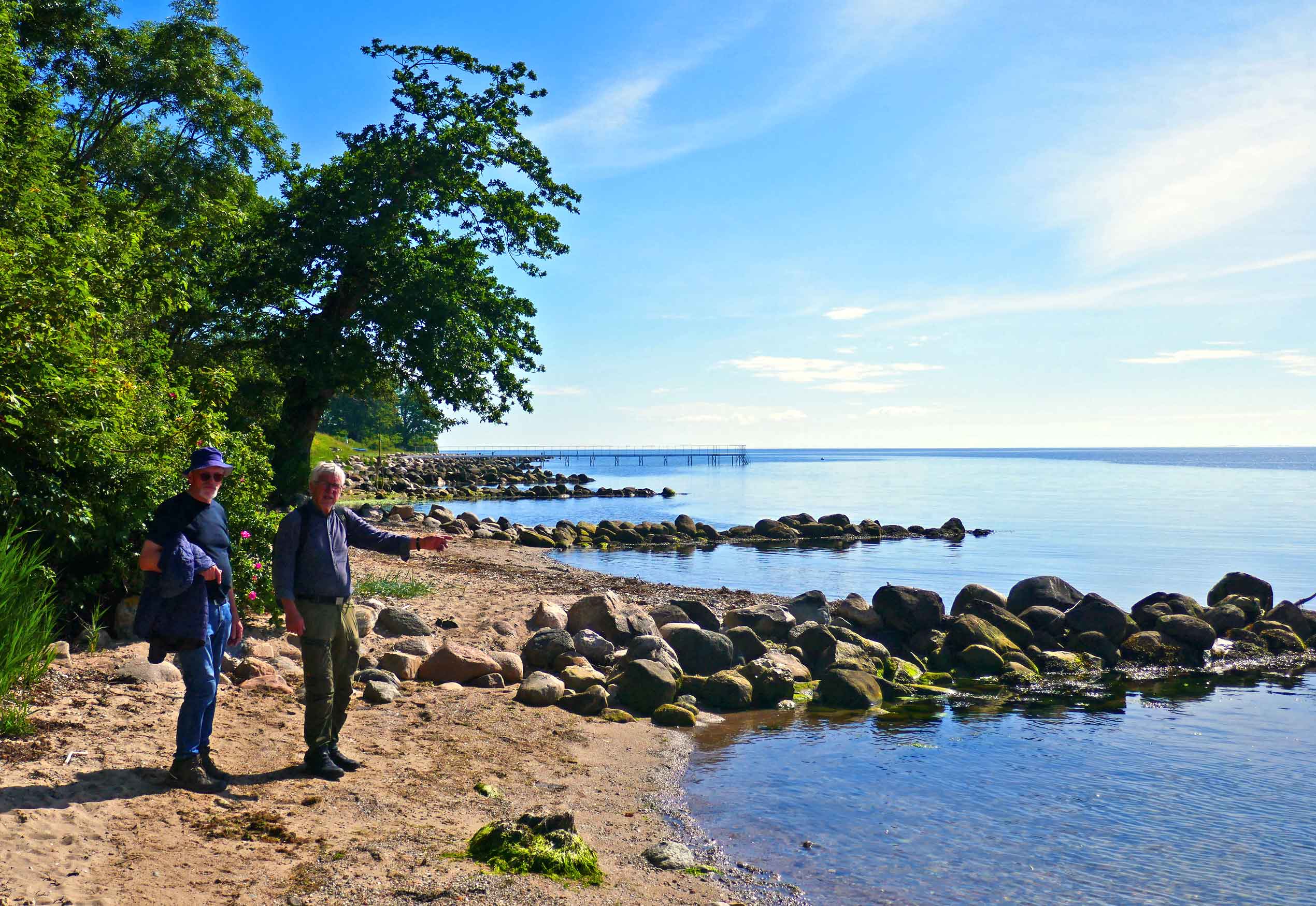 Langs Horsens Fjord
