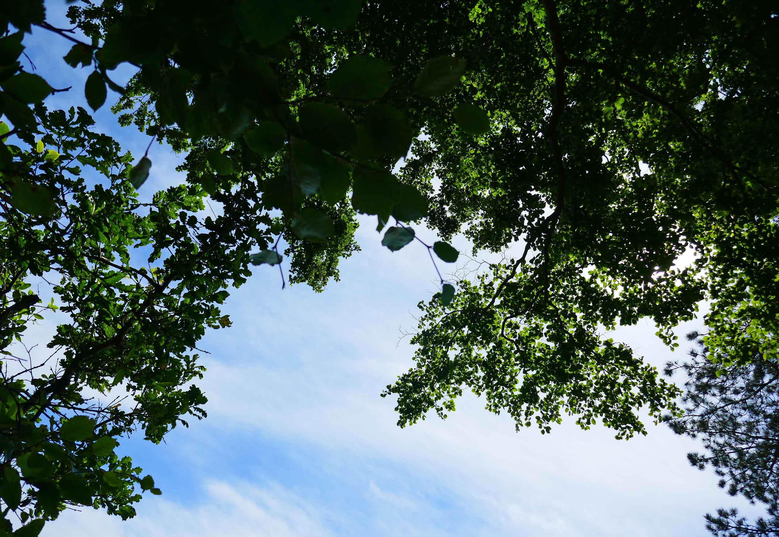 Blå himmel