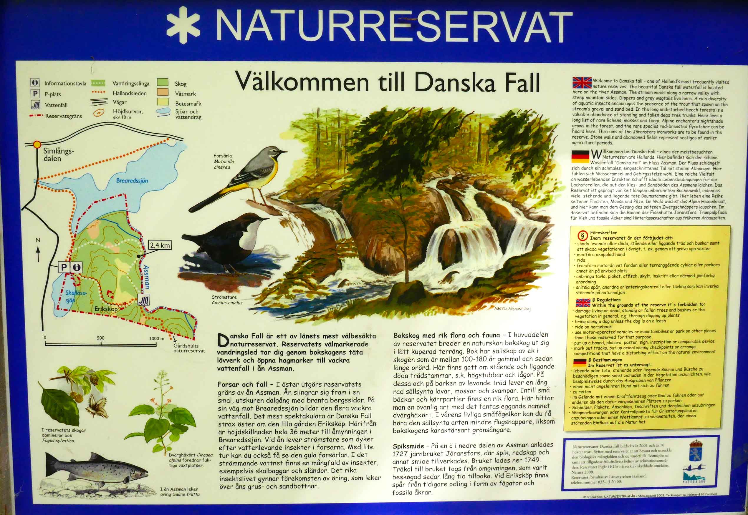 Danska Fall