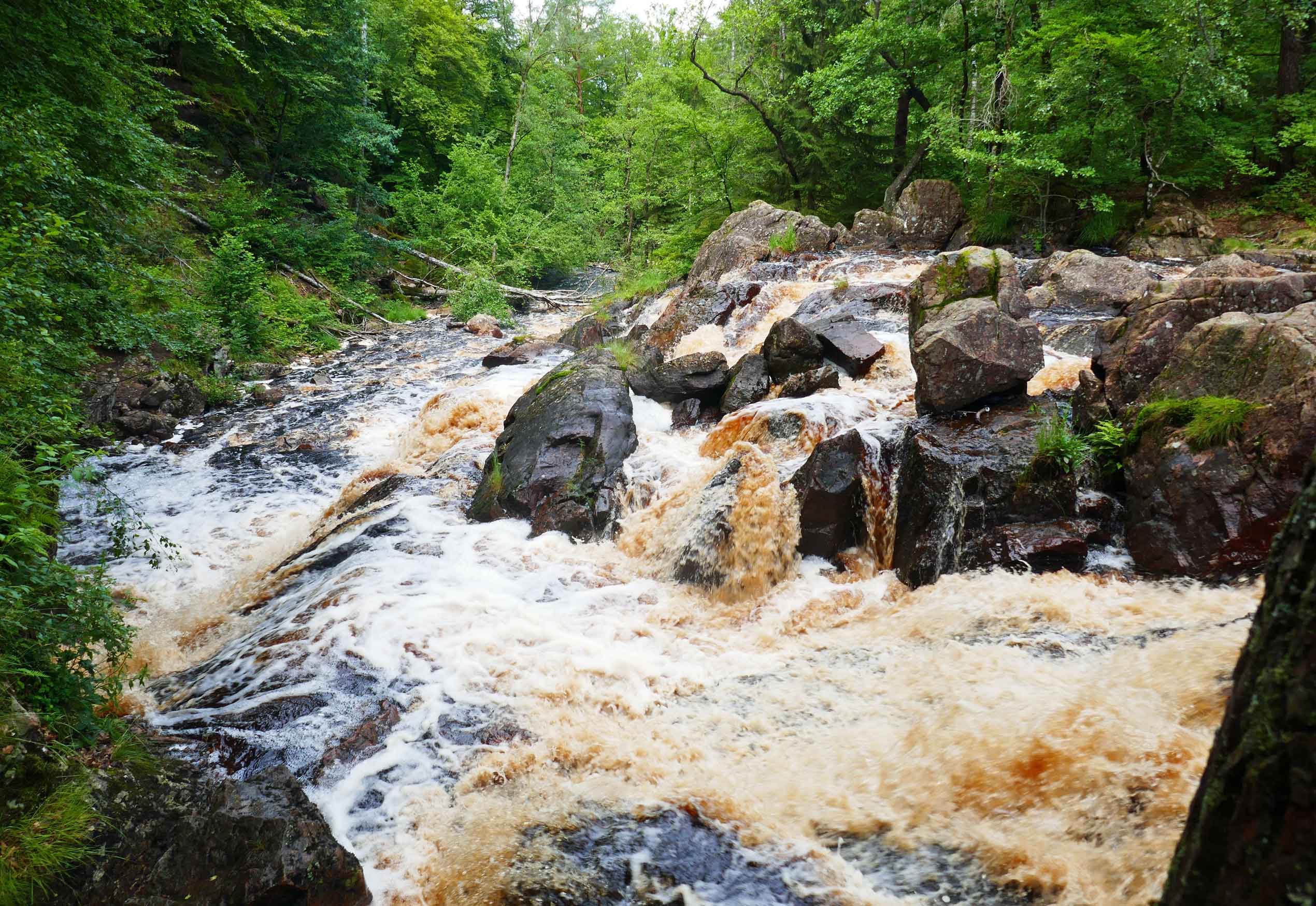 Danska Fall