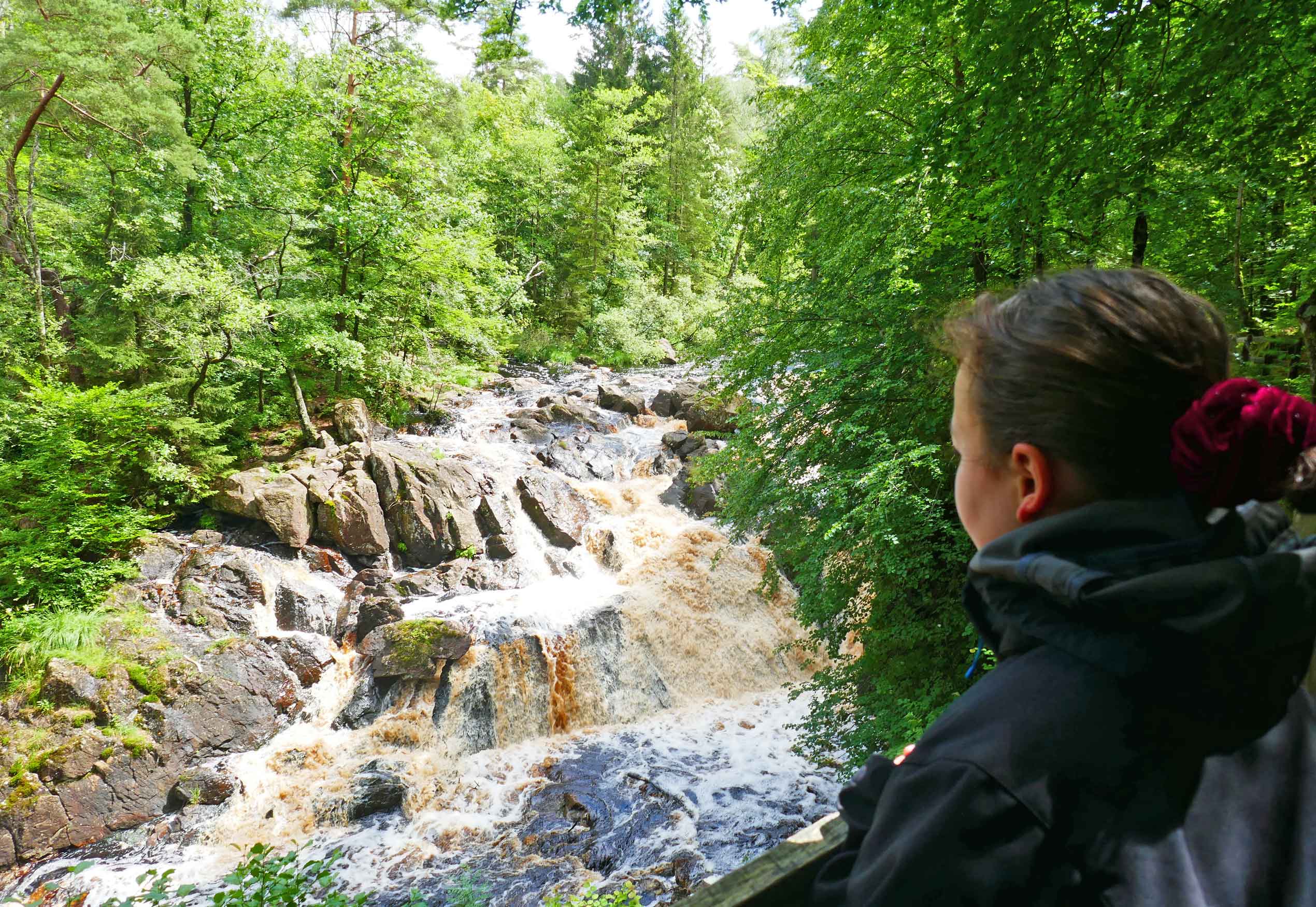 Danska Fall