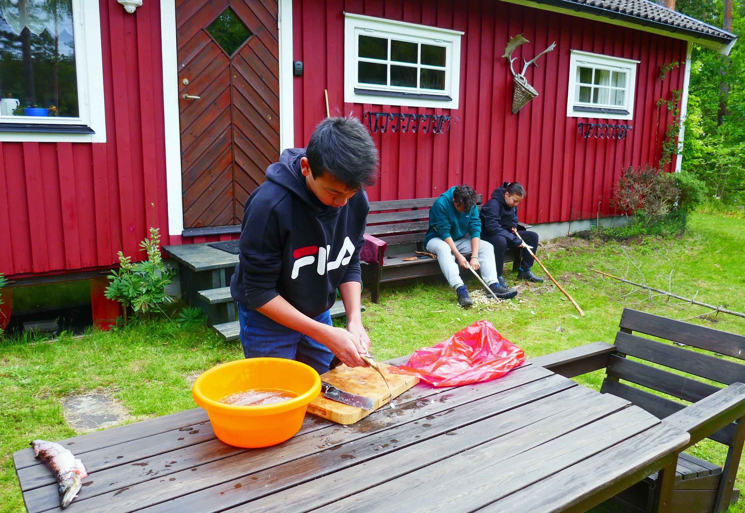 Rengøring