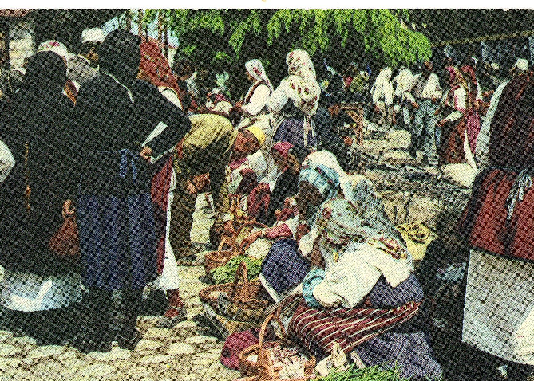 Postkort til Arthur og Cecilie