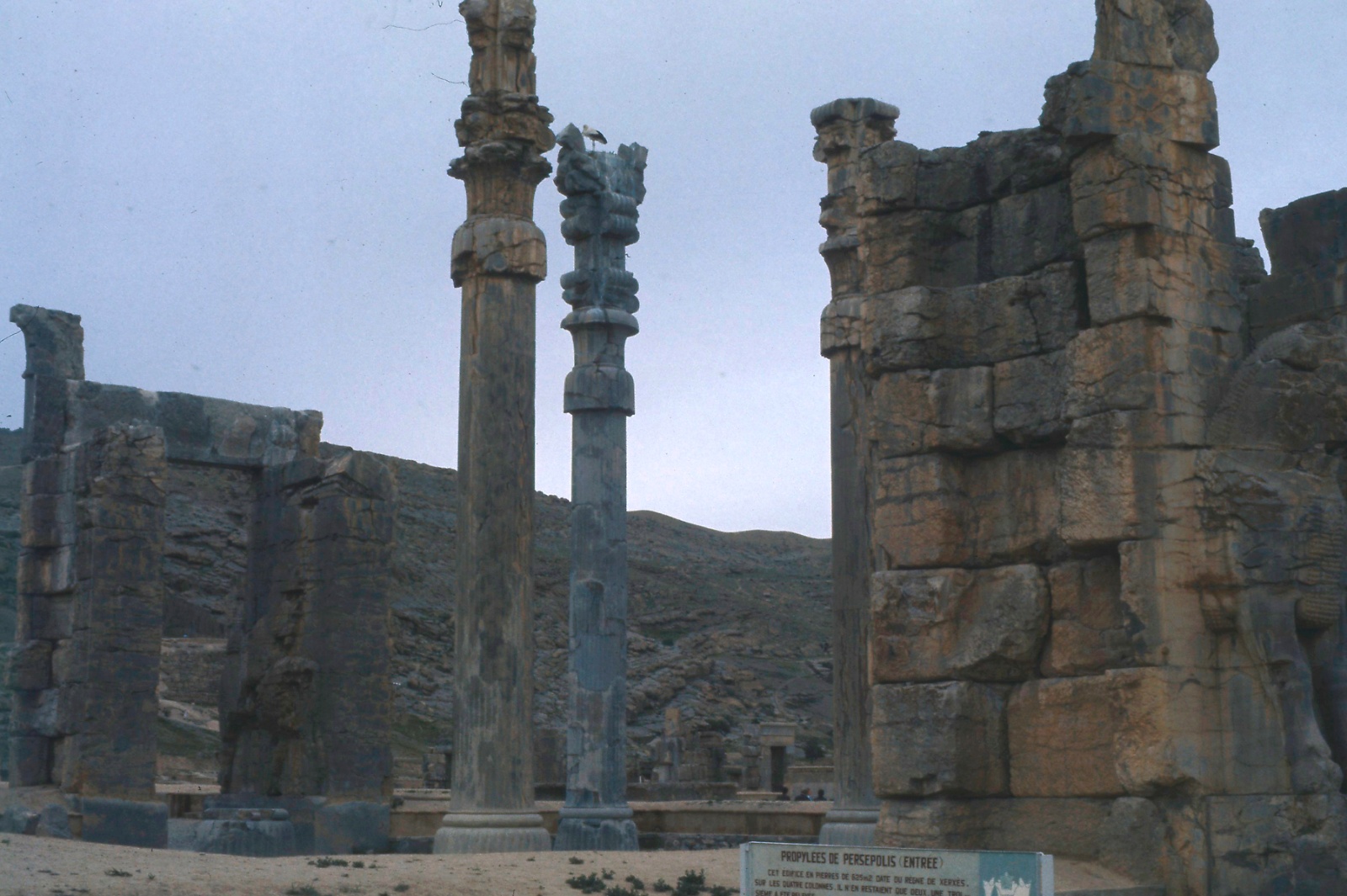 Persepolis