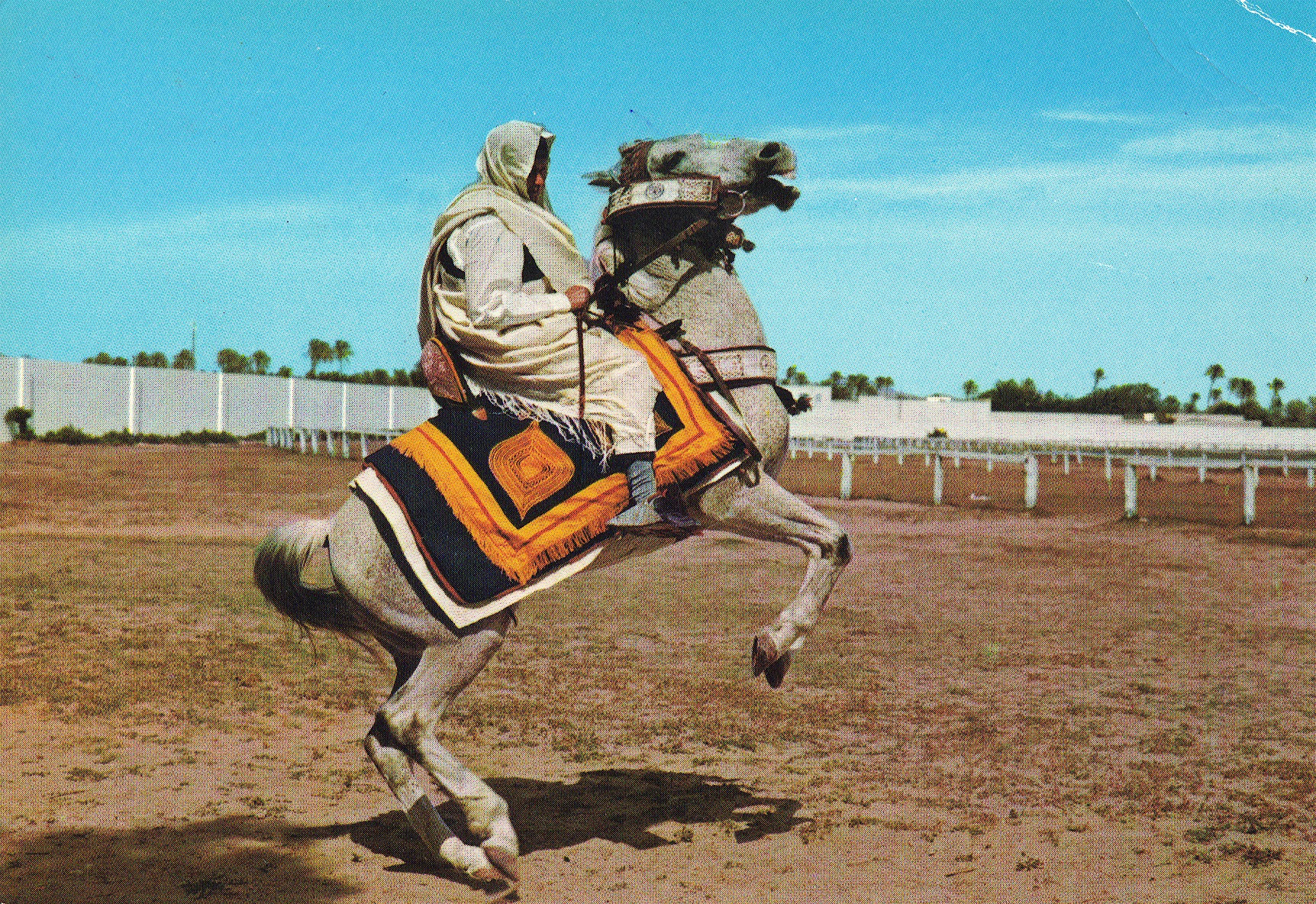 Postkort til far og mor