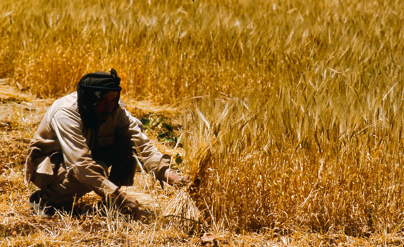 Damascus - Aleppo 1975