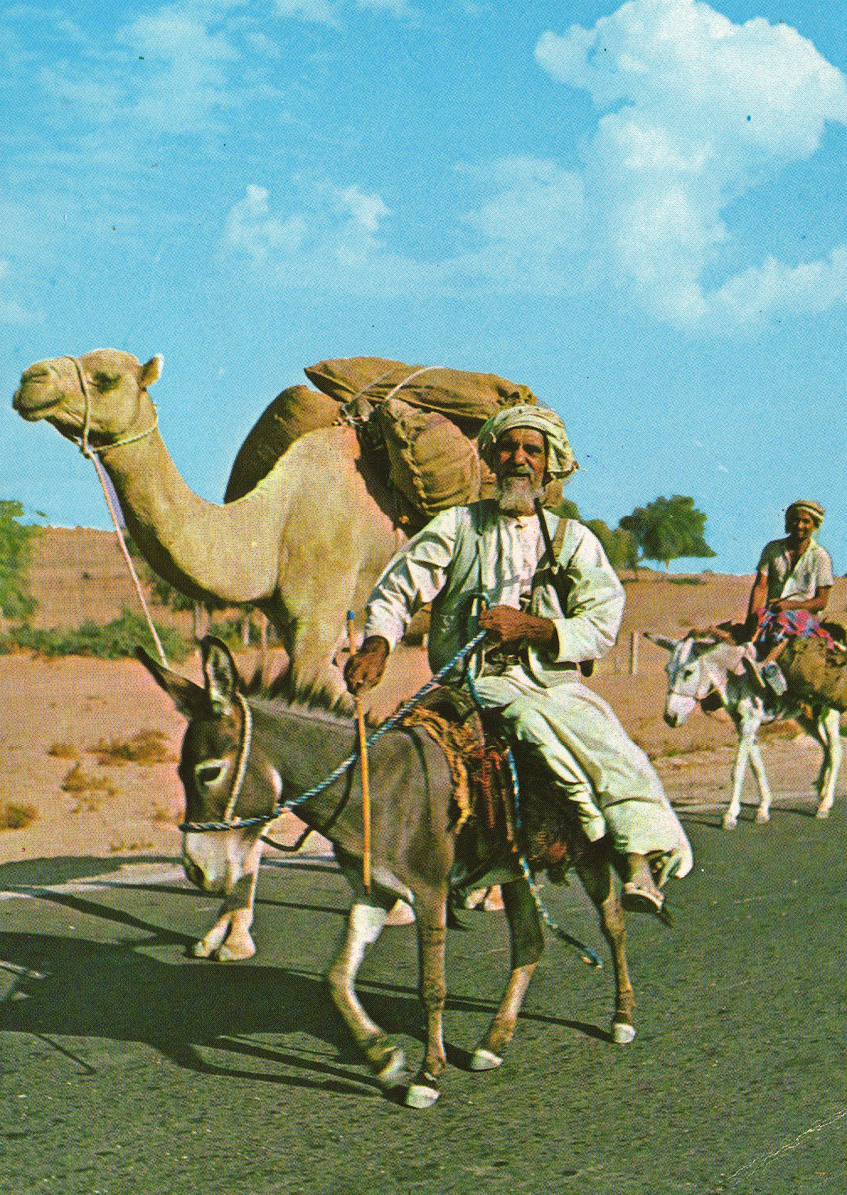 Postkort til far og mor