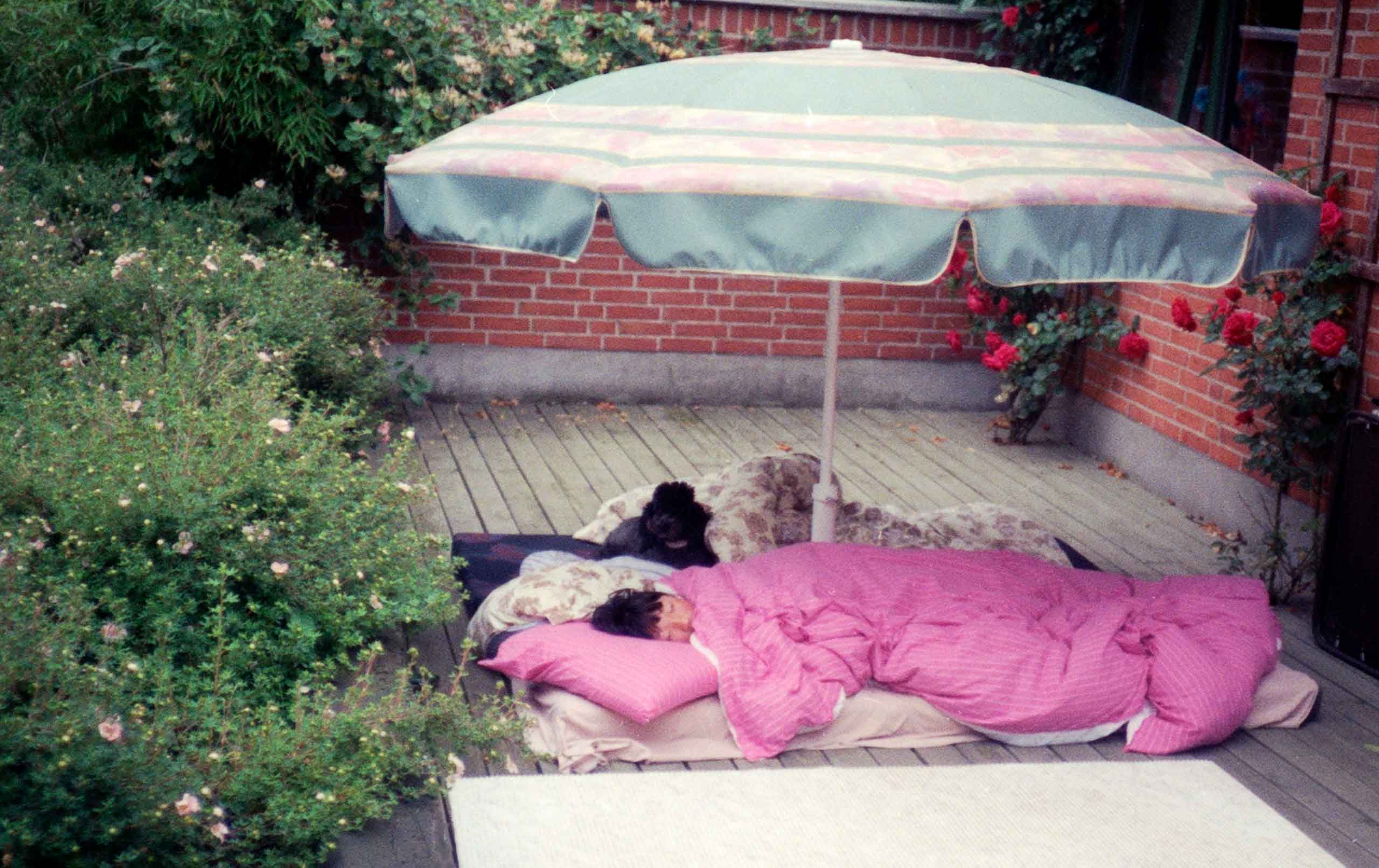 Sommersøvn på terrassen