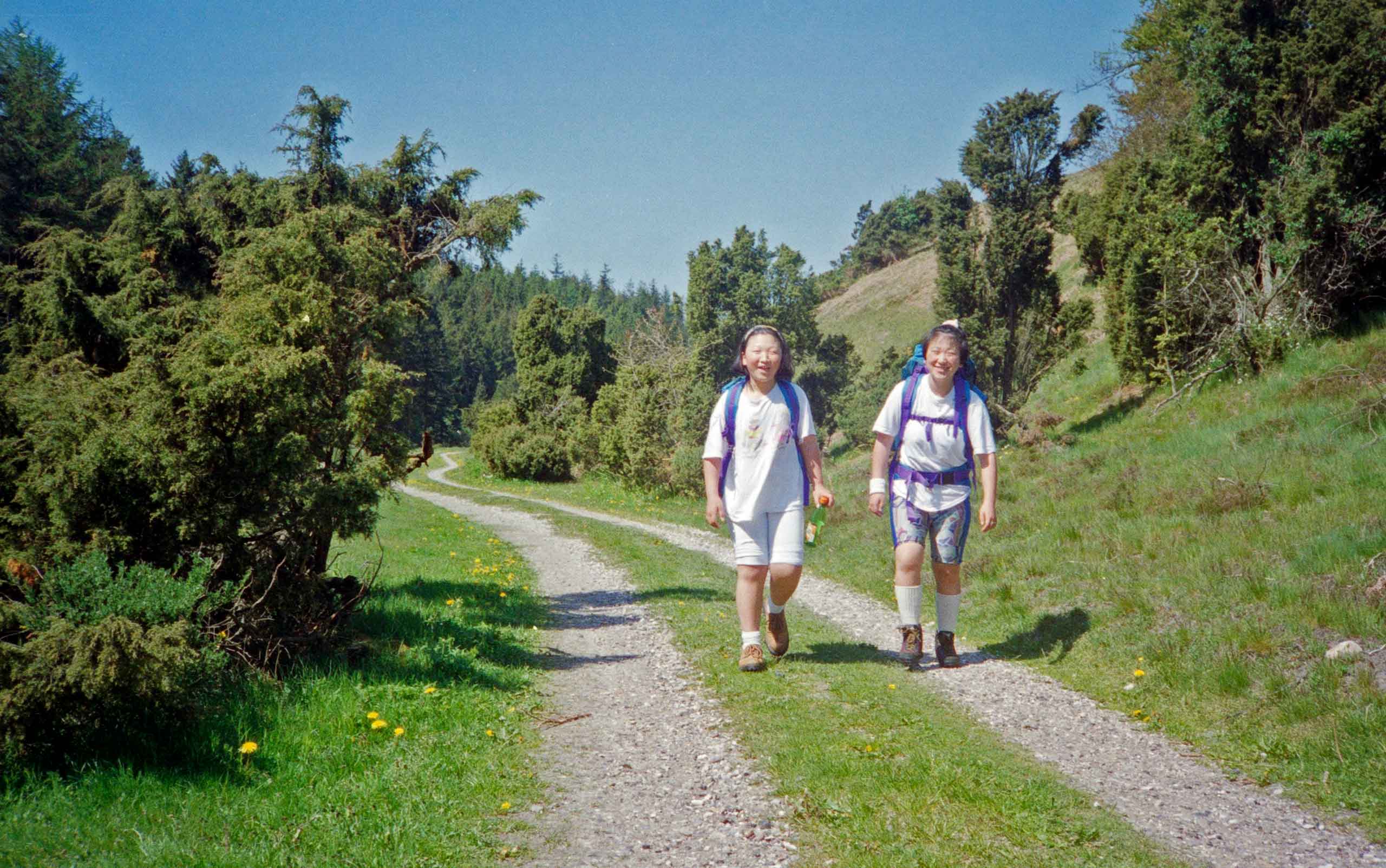 Vandretur i Rold Skov