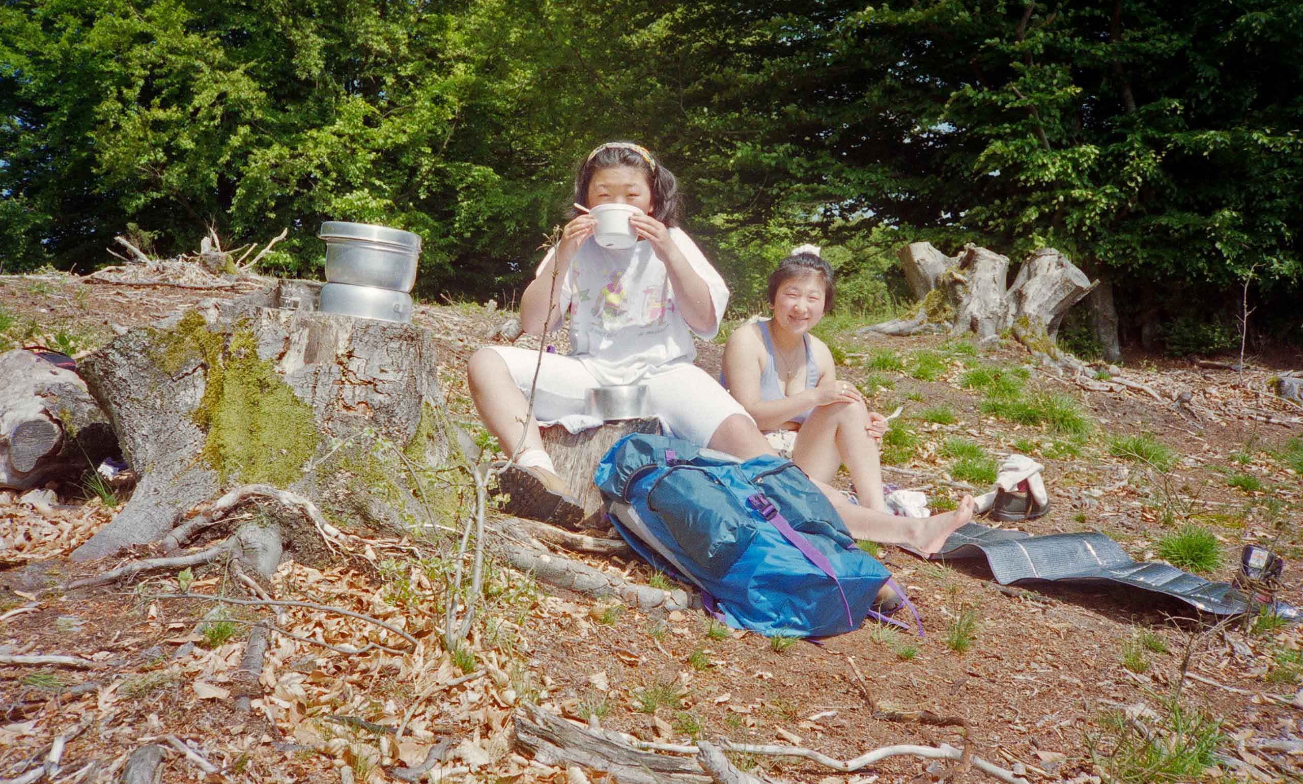 Vandretur i Rold Skov