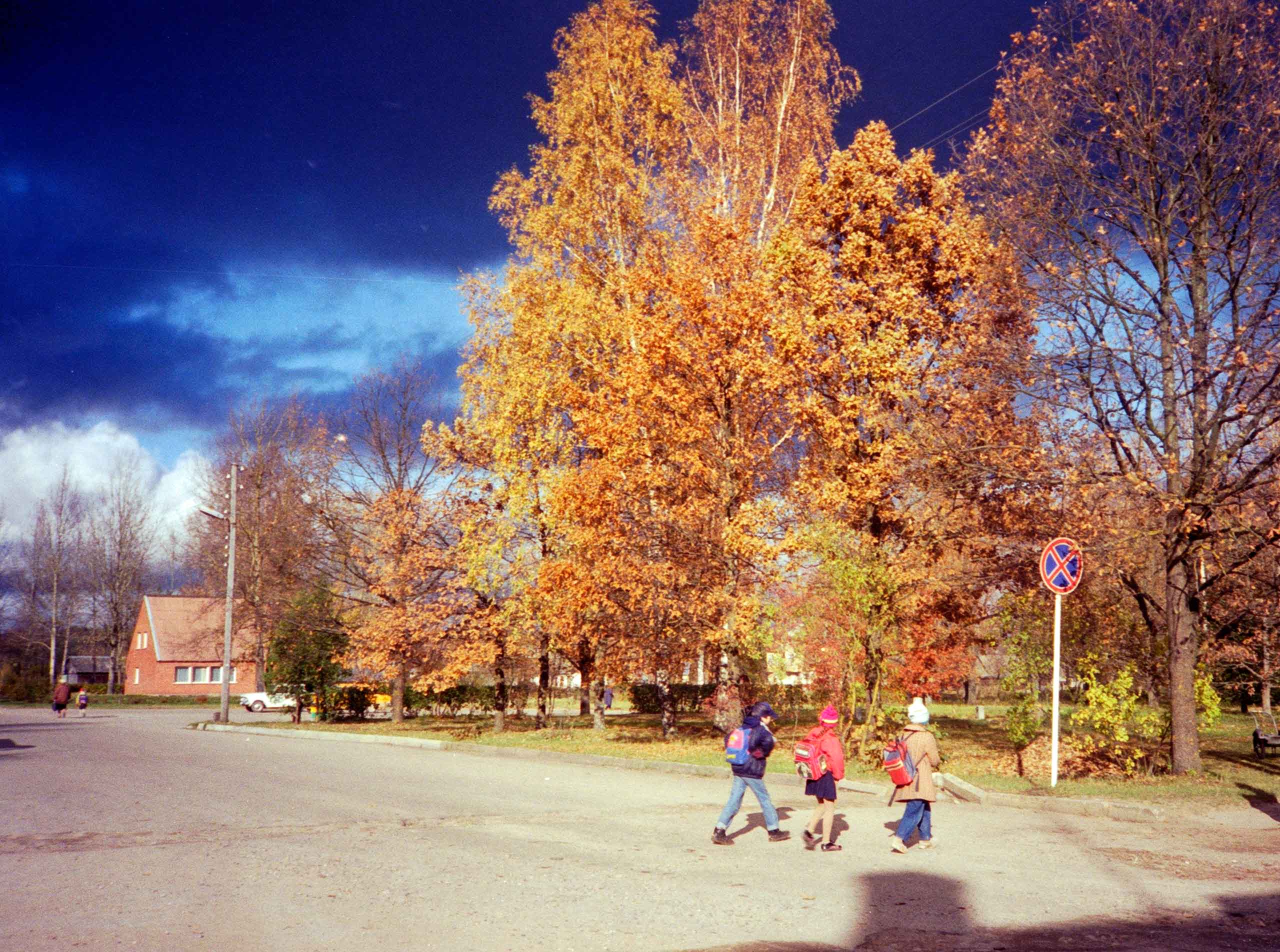 Strenci i tordenvejr