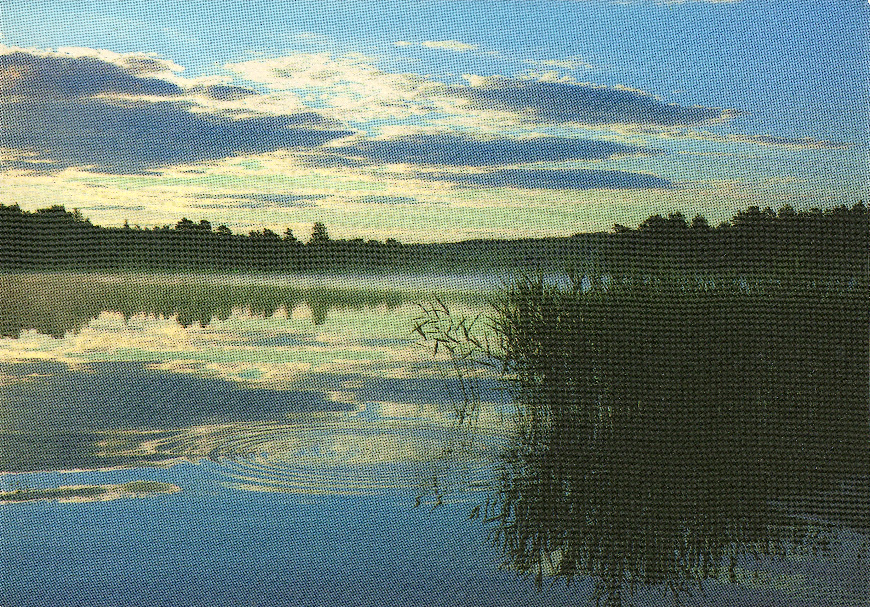 Postkort til min mor