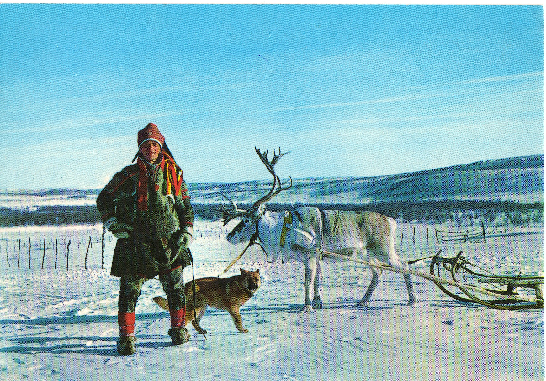 Postkort til min mor