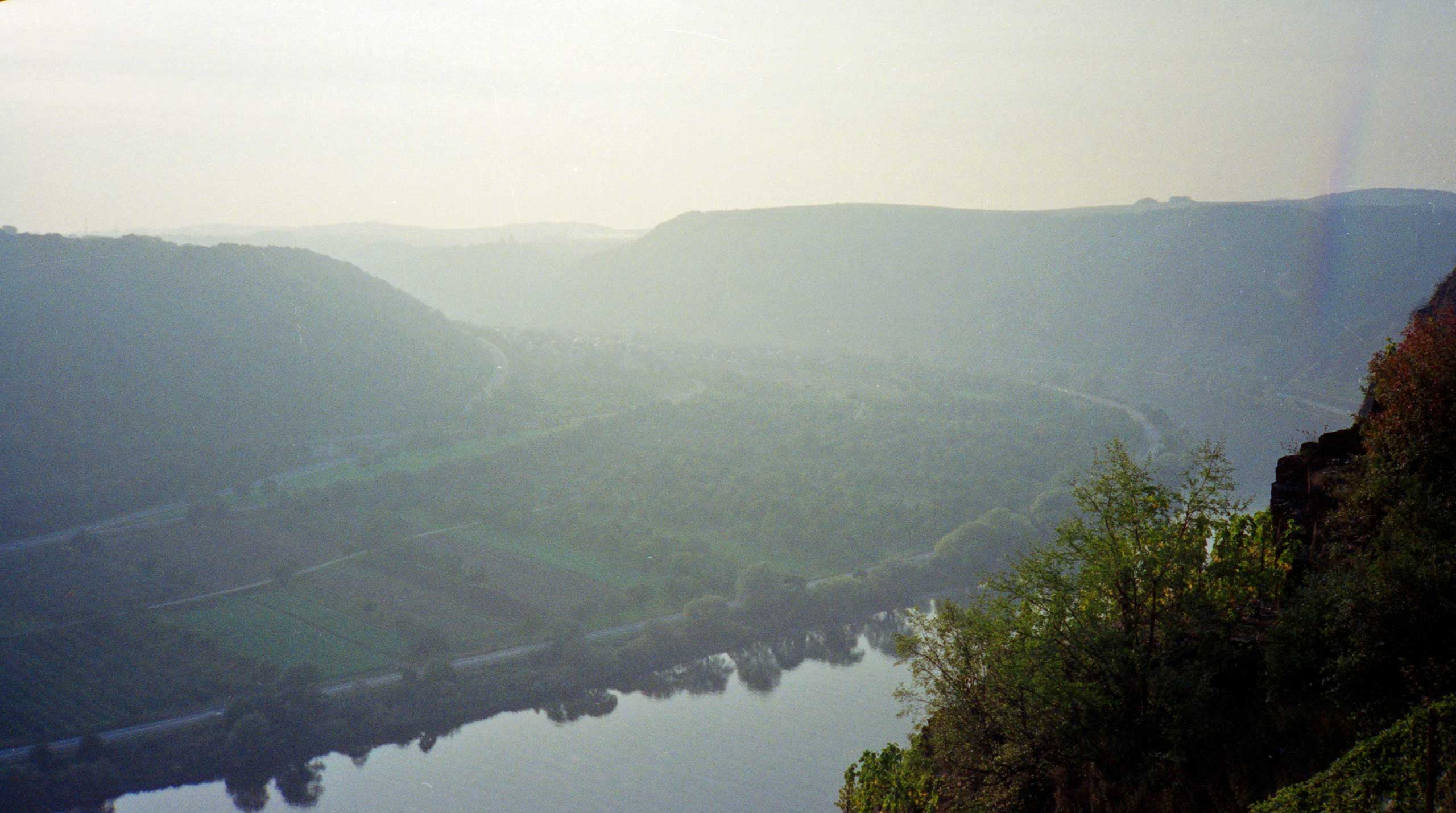 Mosel 1991