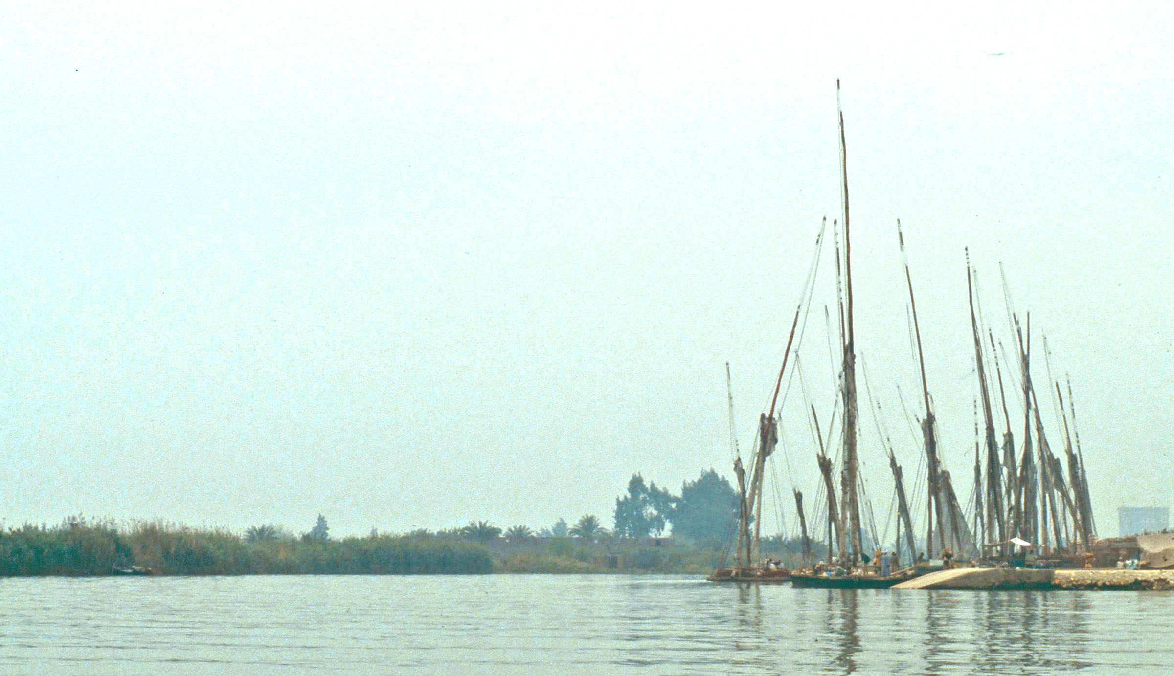 Felucca'er