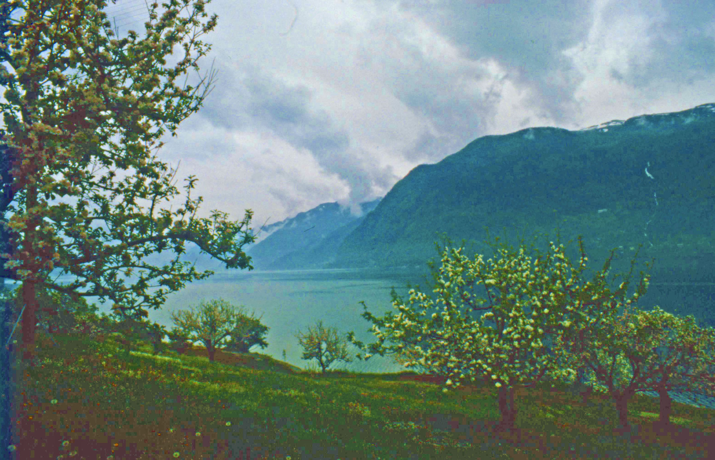Hardanger Fjord