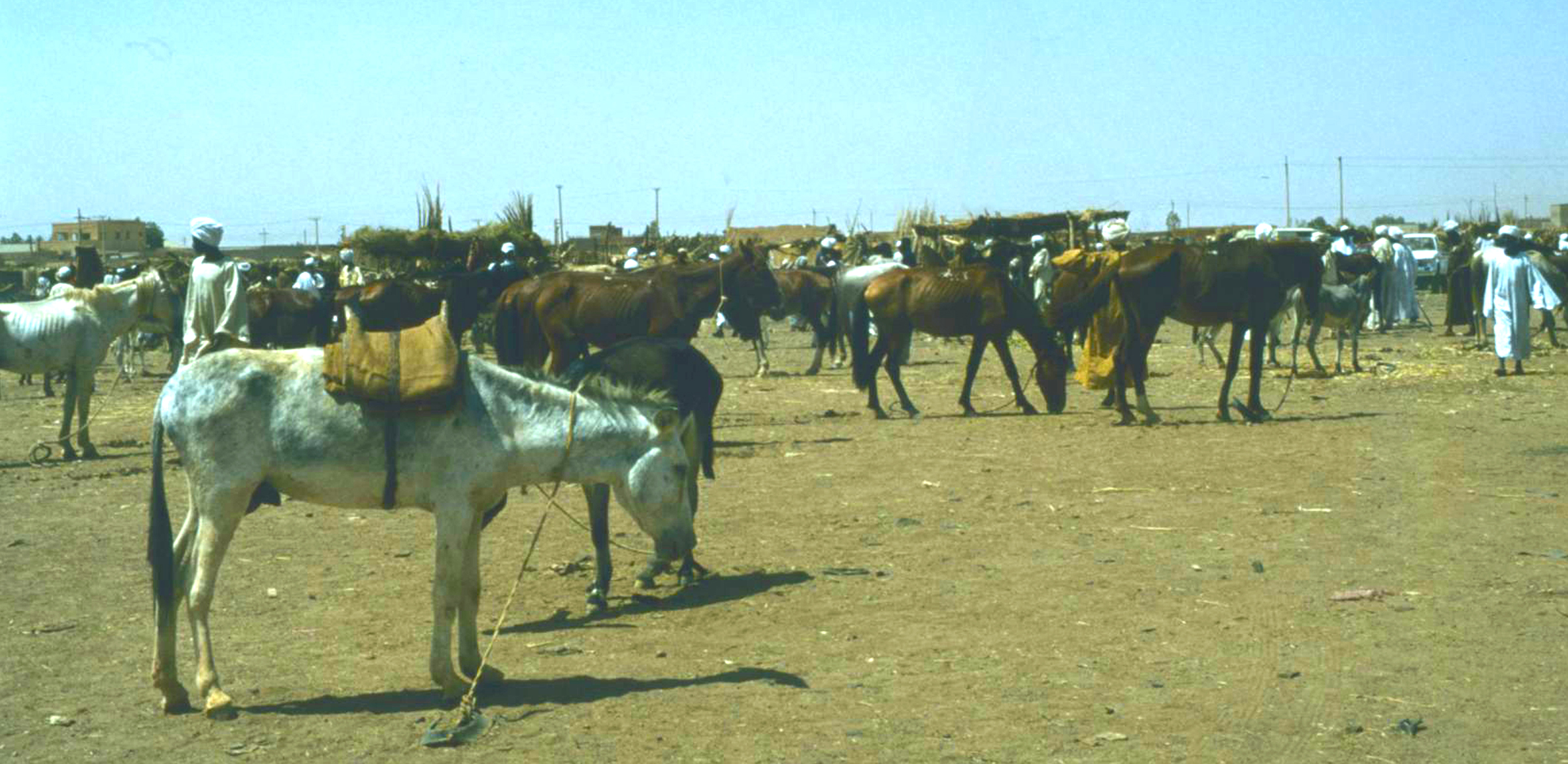 Omdurman