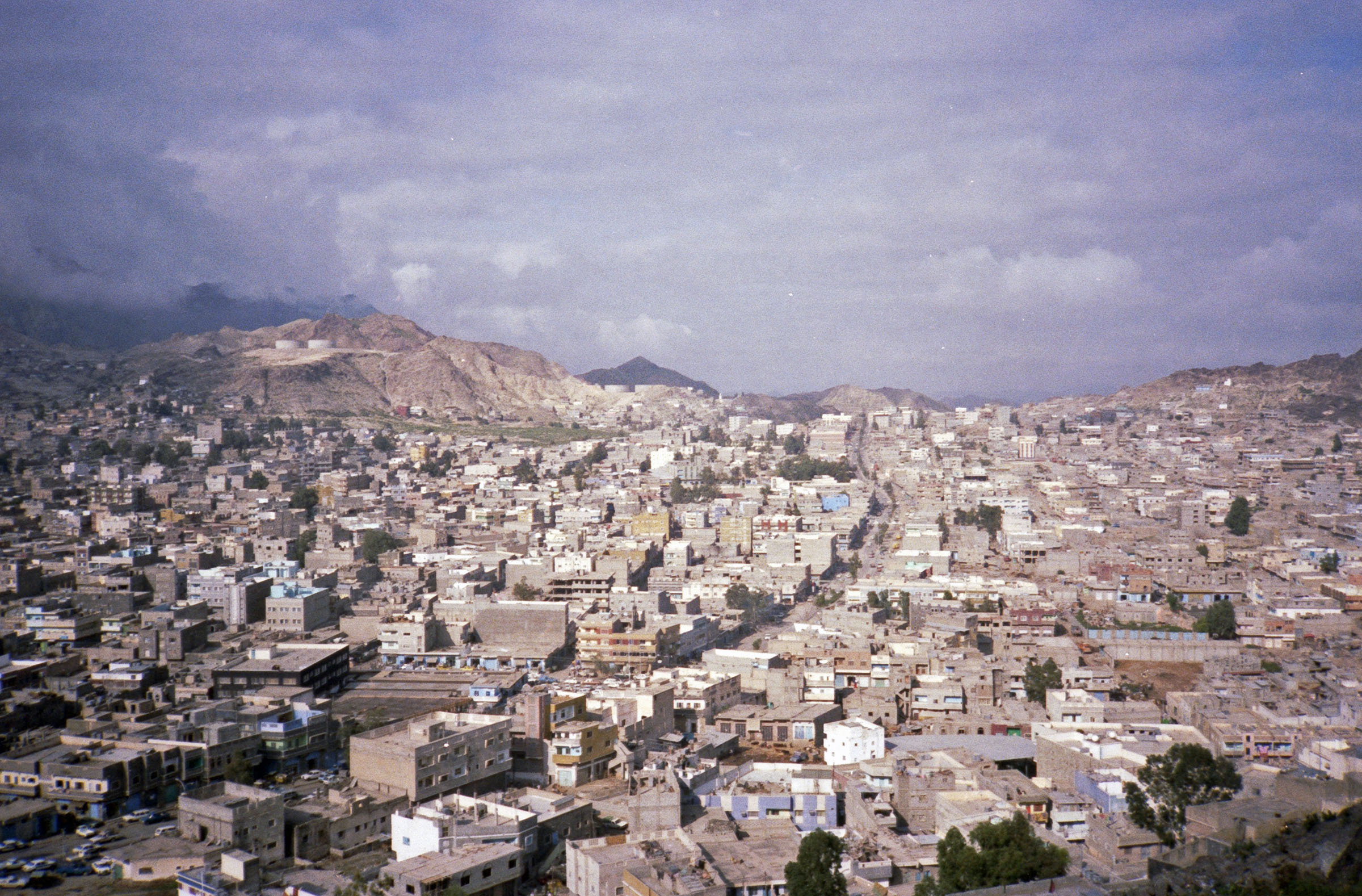 Taiz 1983