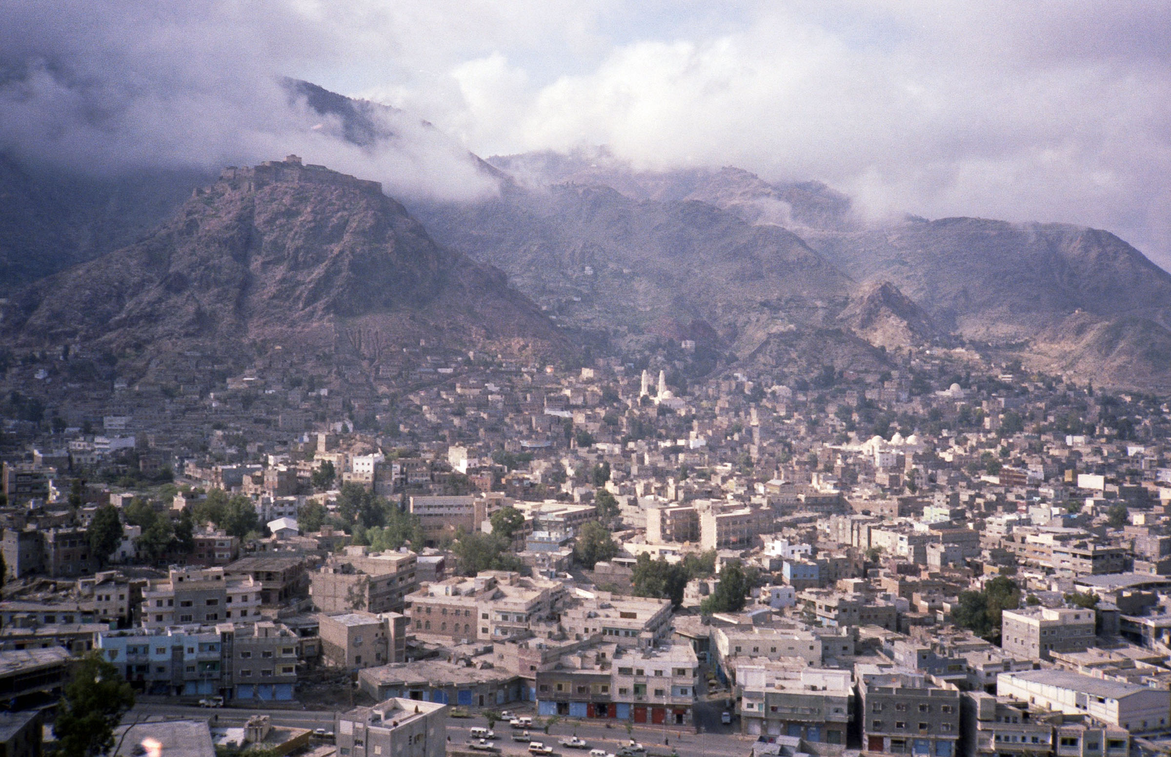 Taiz 1983