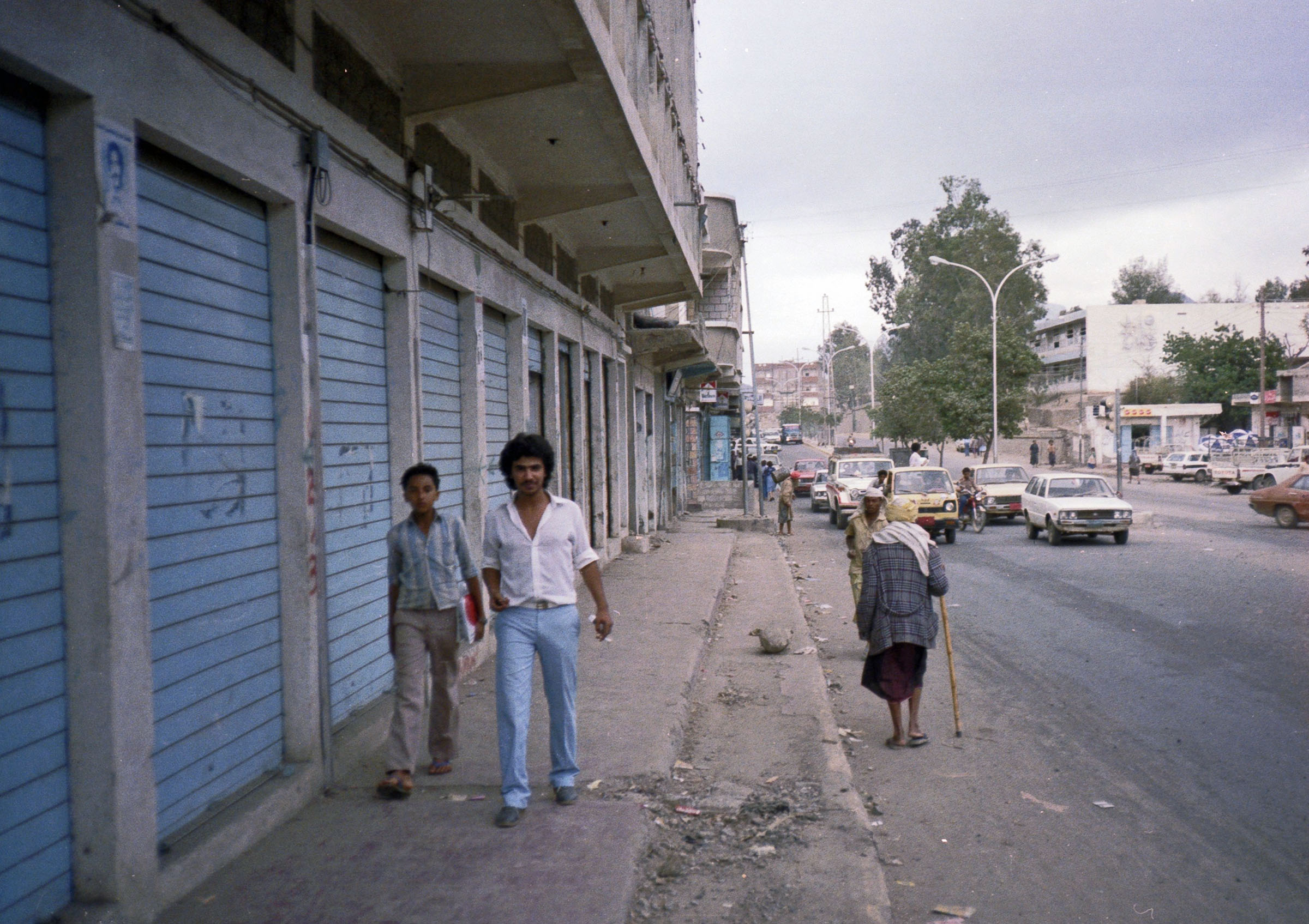 Taiz 1983