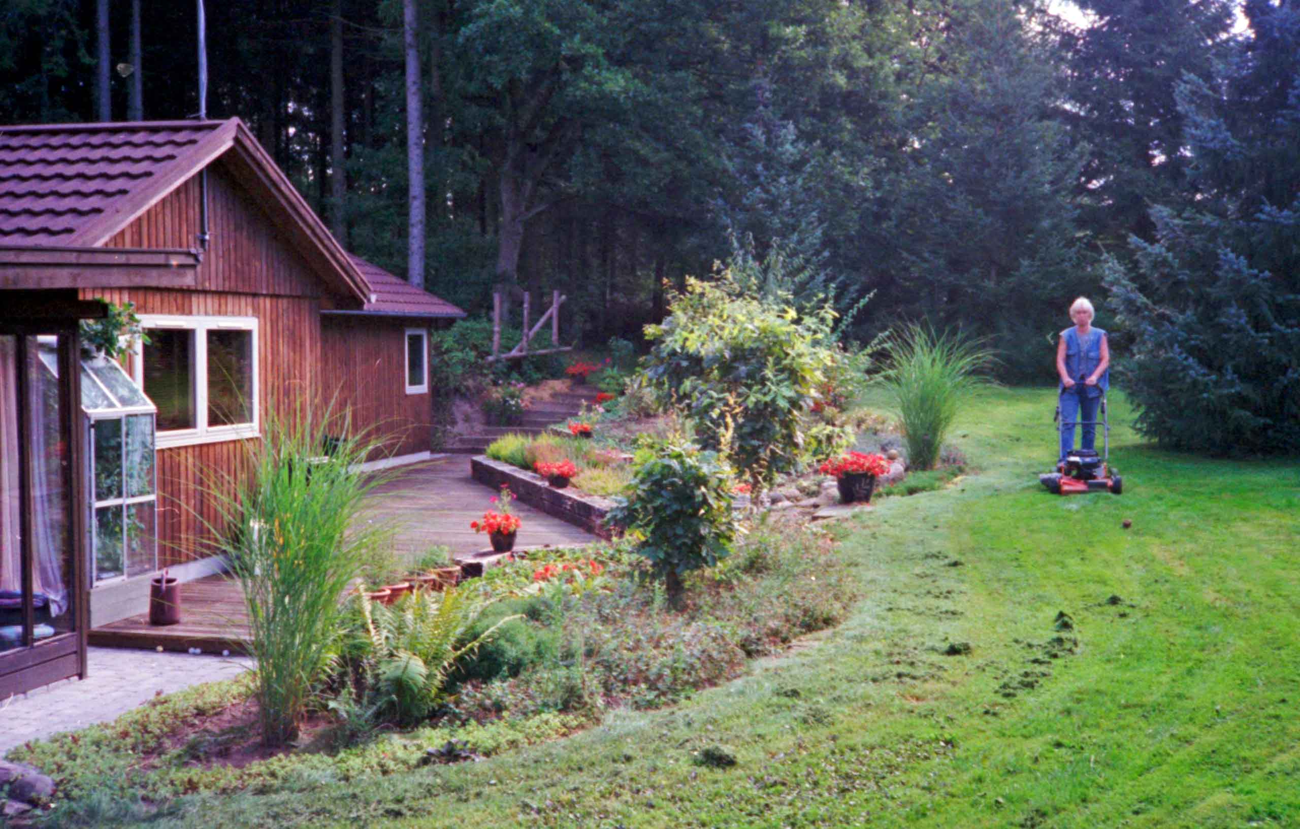 Benthe klipper plænen