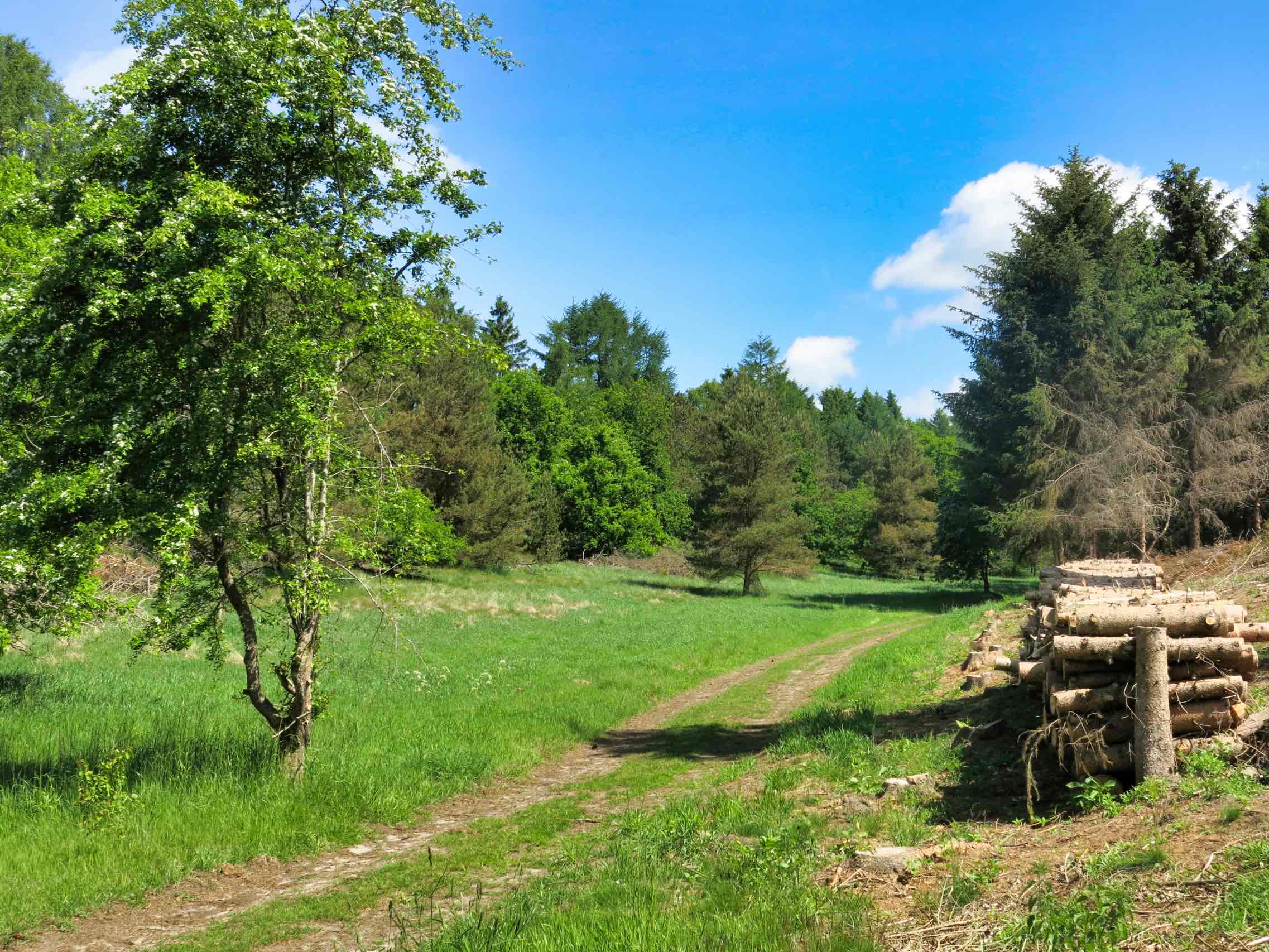 Skovagervej langs bækken