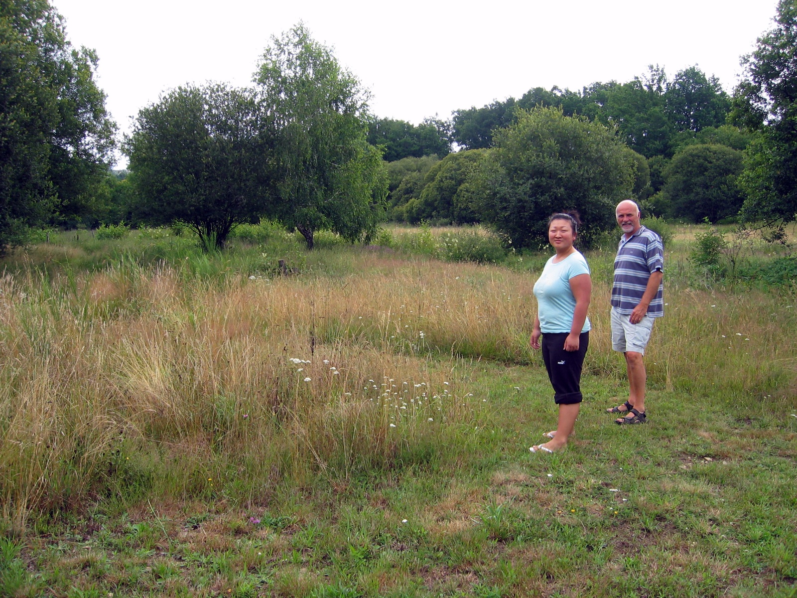 Ruuds vandmøllehotel