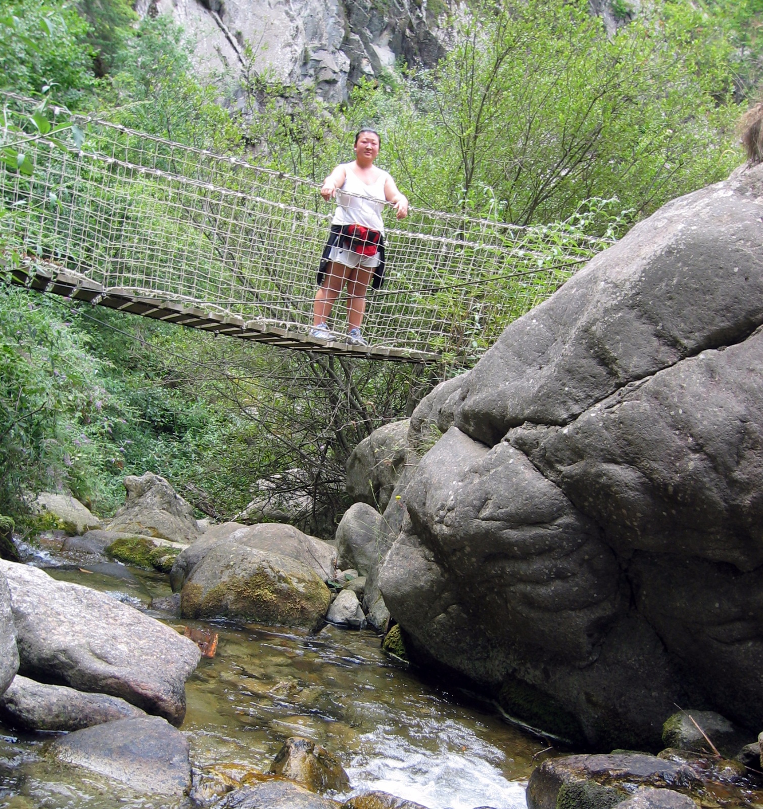Nationalpark Pyrenæerne