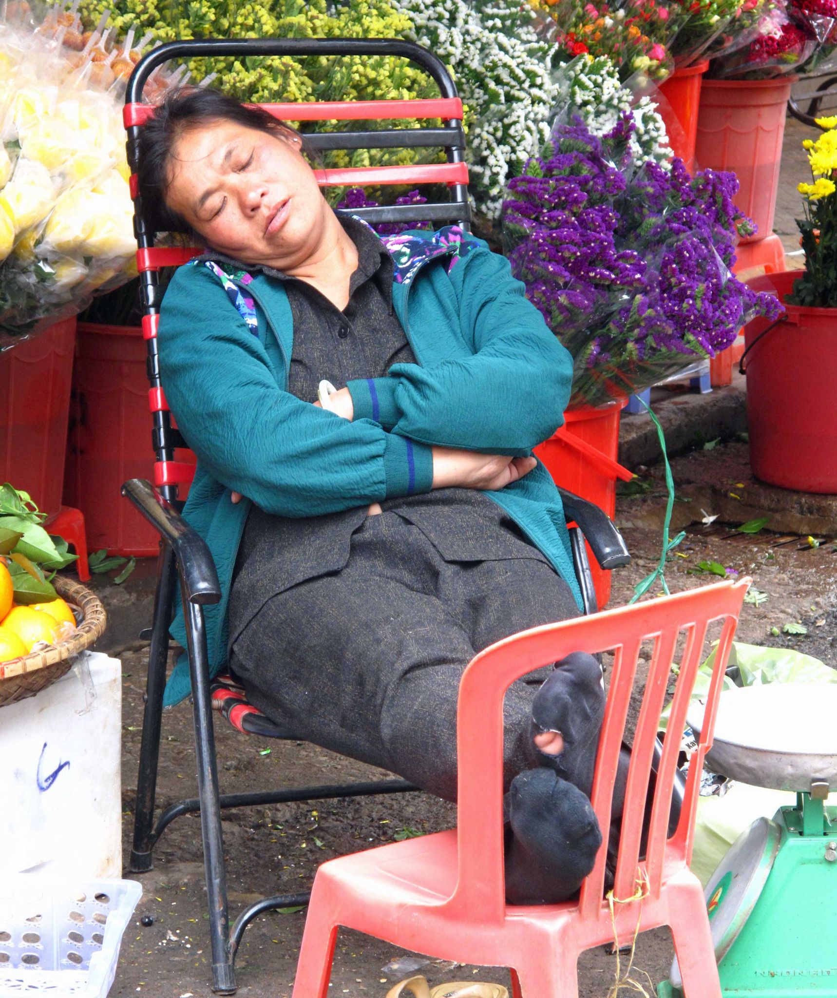 Siesta