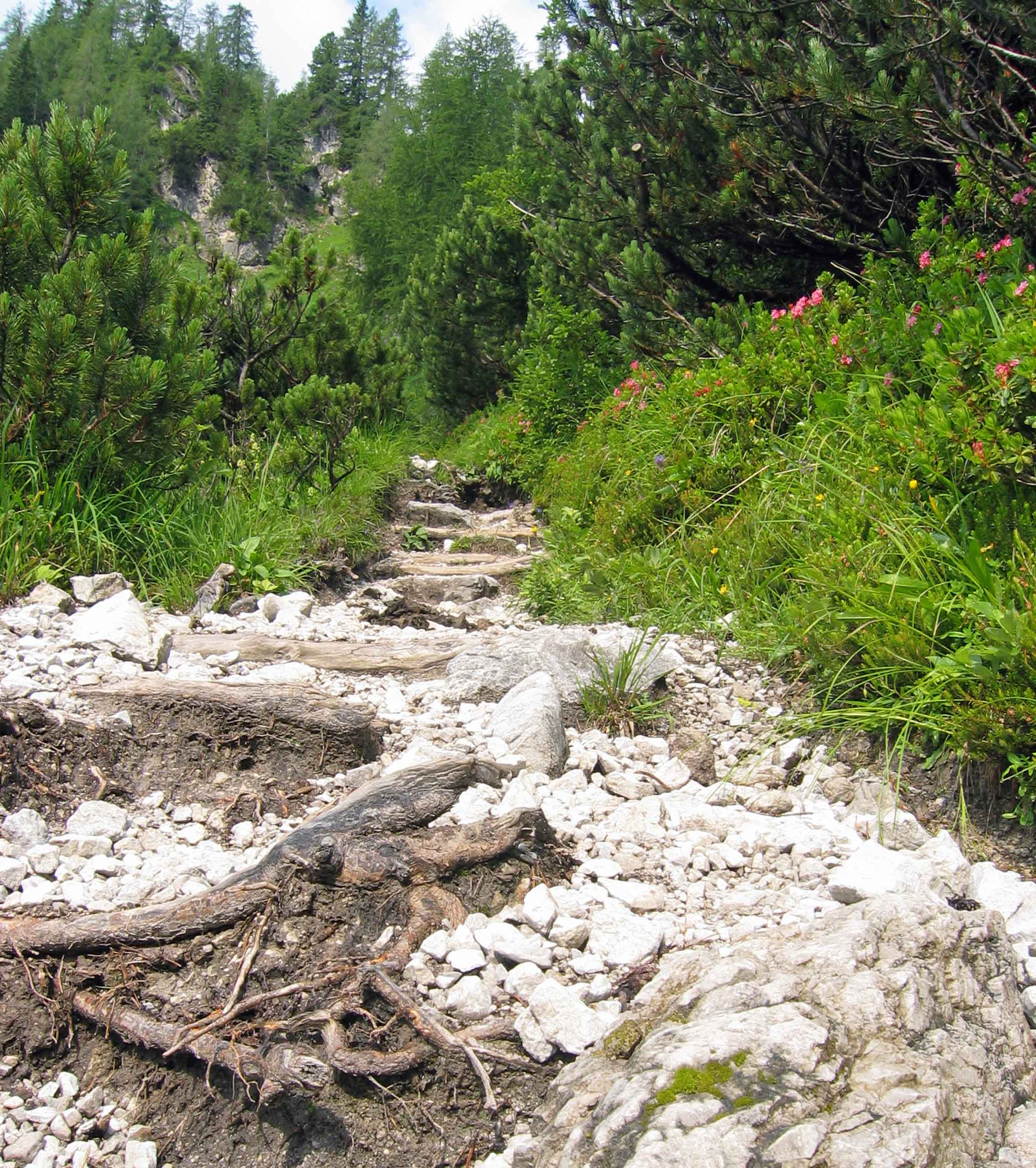 Udfordrende vandrestier