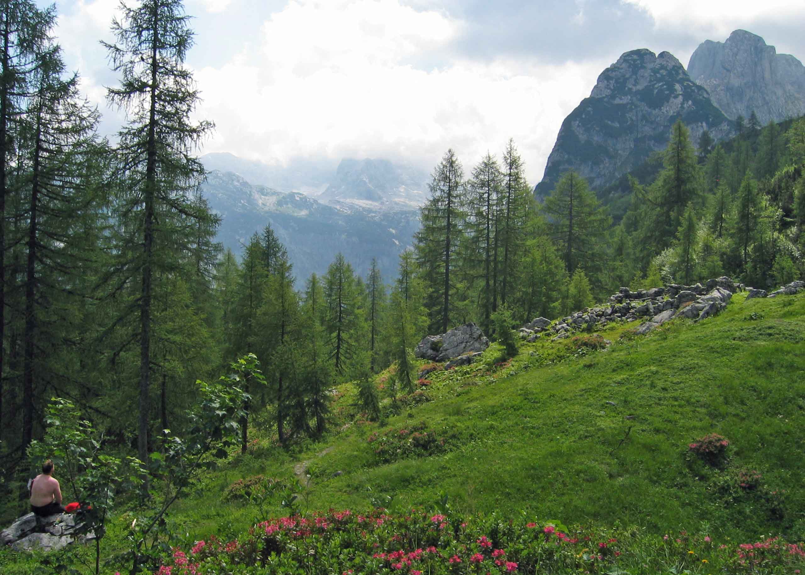 Dramatiske omgivelser