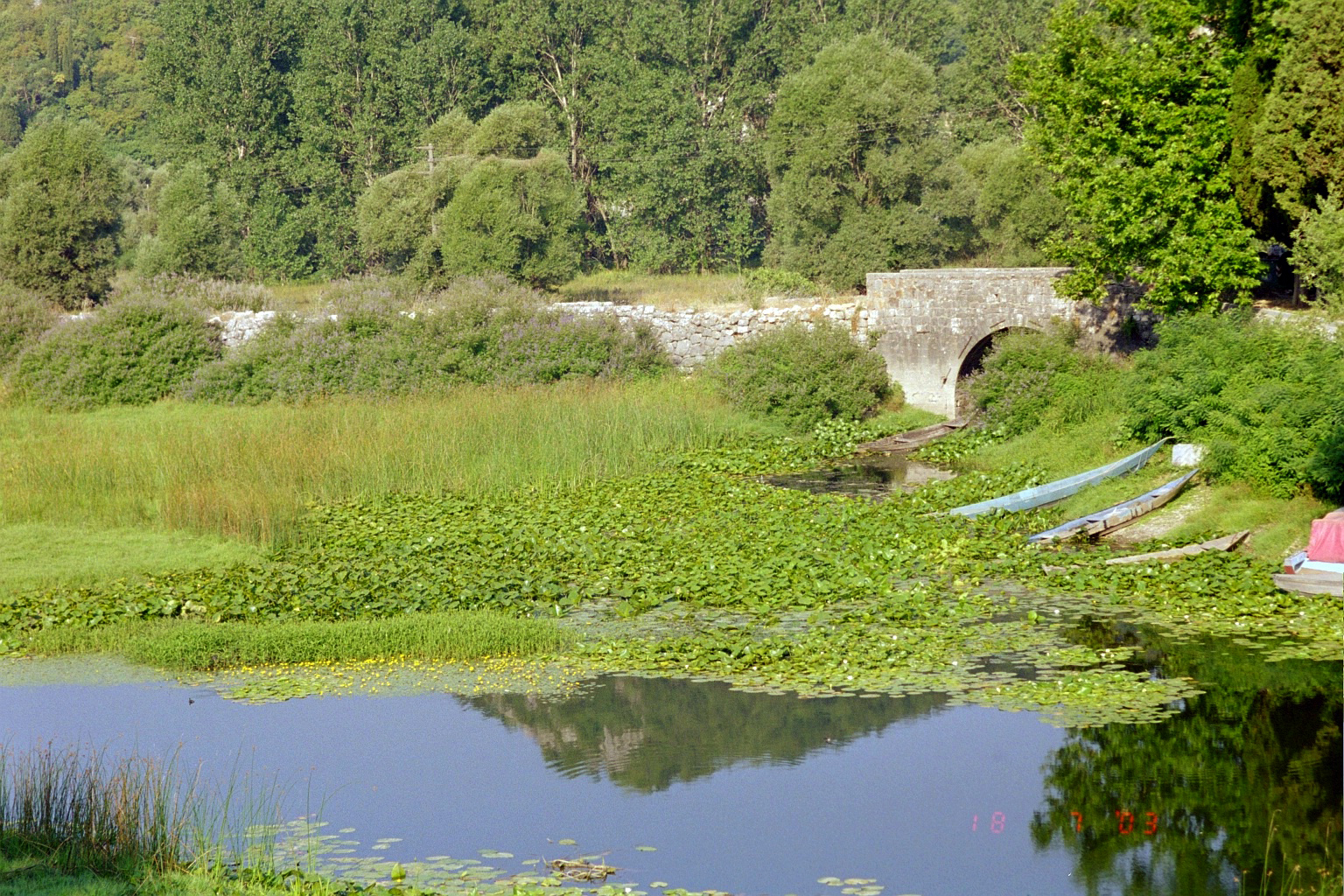 Virpazar