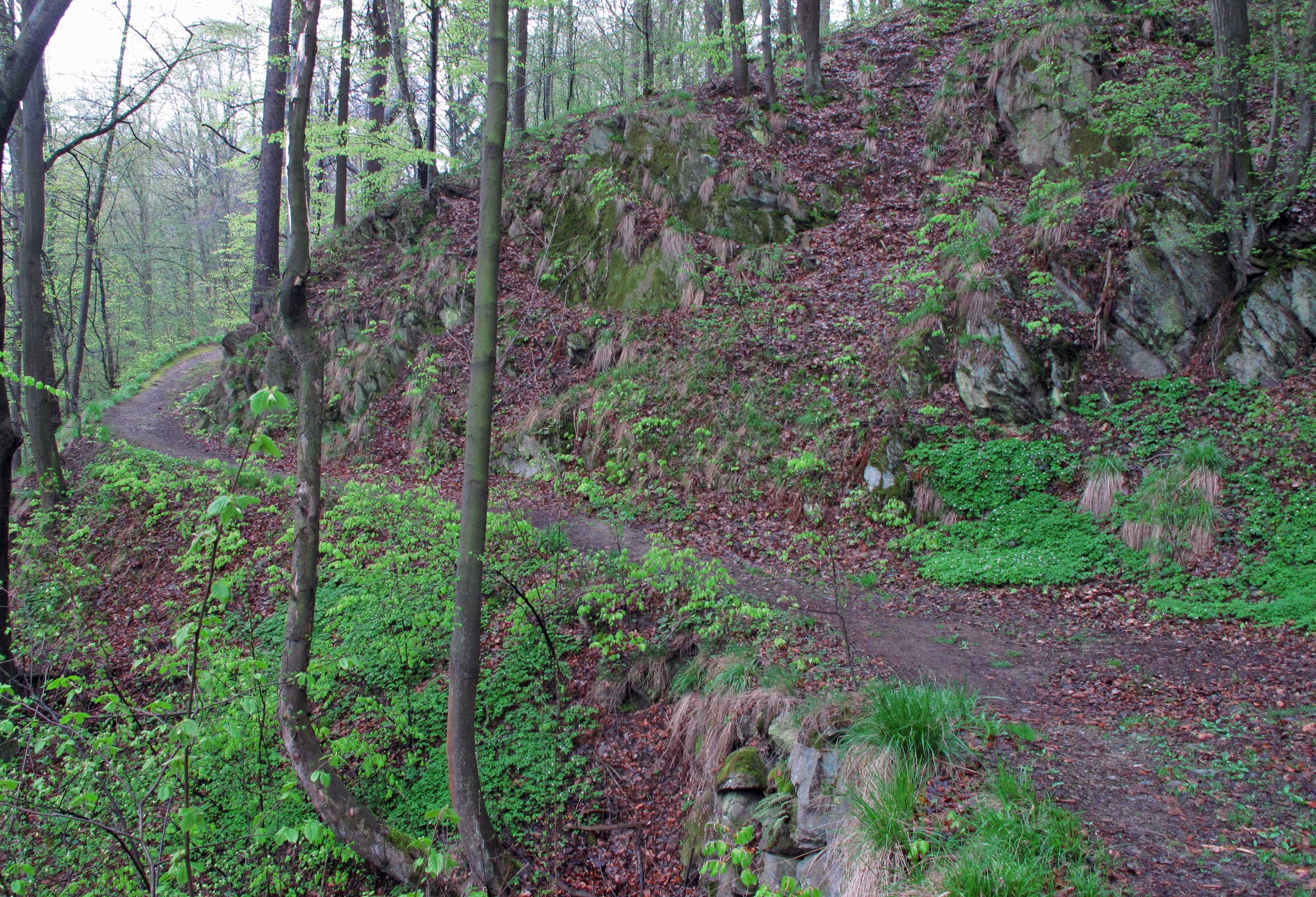 Skovsti