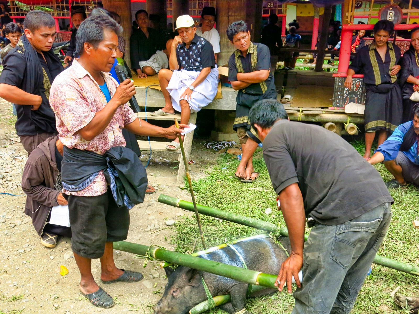 Tana Toraja - begravelses ritual